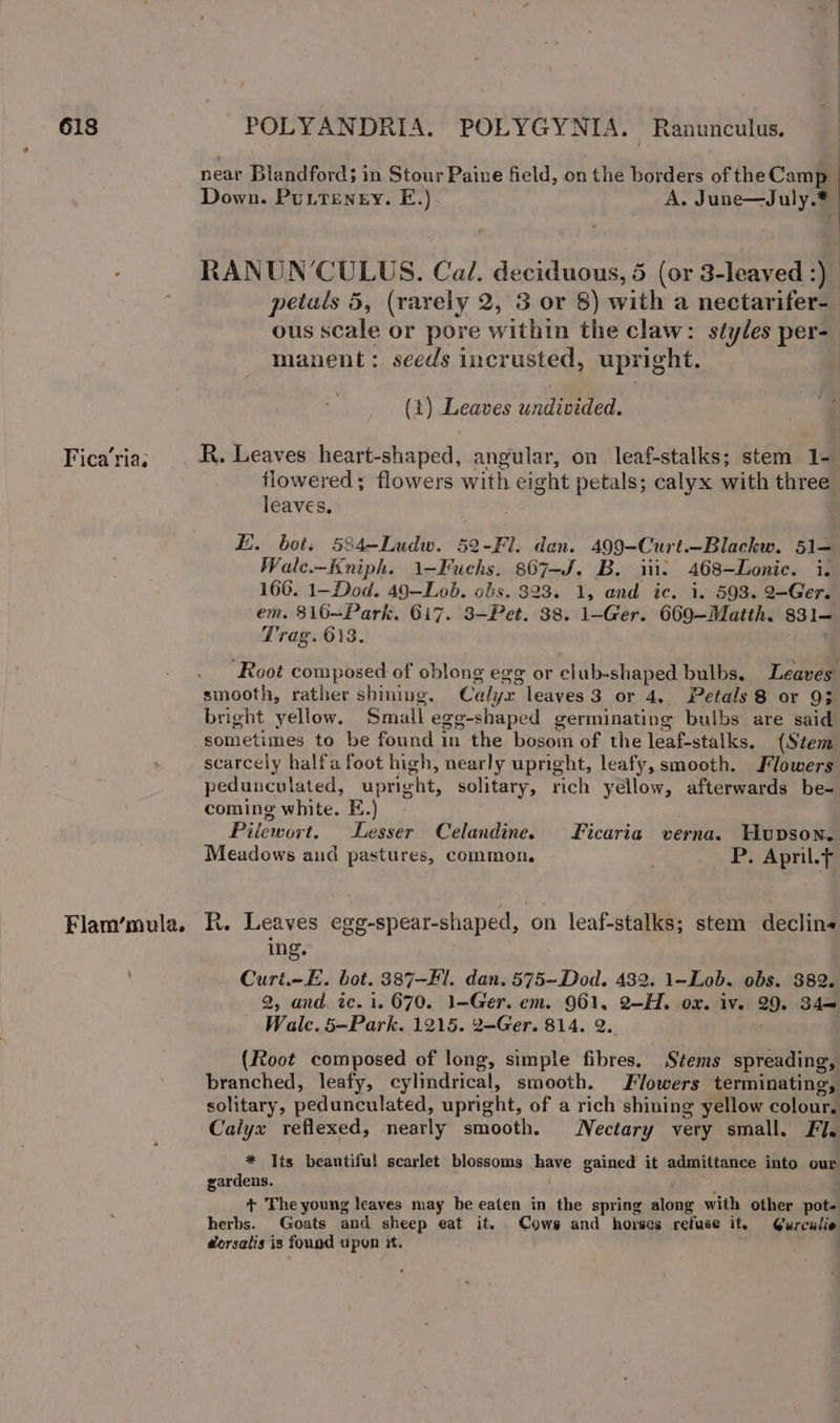 Fica ria; Flam’mula. | near Blandford; in Stour Paine field, on the borders of the Camp Down. Puttenery. E.) A. June—July.* RANUN’CULUS. Cal. deciduous, 5 (or 3-leaved :) petals 5, (rarely 2, 3 or 8) with a nectarifer- ous scale or pore within the claw: styles per- manent: seeds incrusted, upright. (1) Leaves undivided. ‘ y RR. Leaves heart-shaped, angular, on leaf-stalks; stem 1- flowered; flowers with eight petals; calyx with three leaves. E. bots 584—Ludw. 52-Fl. dan. 499-Curt.-Blackw. 51— Wale.~Kniph. 1-Fuchs. 867-J. B. iii. 468-Lonie. i. 160. 1-Dod. 49—Lob. obs. 323. 1, and ic. i. 593. 2-Ger. em. 816=Park, 617. 3-Pet. 38. 1-Ger. 660—-Matth. 331— Trag. 013. ‘ Root composed of oblong egg or club-shaped bulbs. Leaves smooth, rather shining. Calyx leaves 3 or 4, Petals 8 or 93 bright yellow. Small egg-shaped germinating bulbs are said sometimes to be found in the bosom of the leaf-stalks. (Stem scarcely halfa foot high, nearly upright, leafy, smooth. Jlowers coming white. E.) Piiewort. Lesser Celandine. Ficaria verna. Hupson. Meadows and pastures, common. | P. Apnil.f R. Leaves egg-spear-shaped, on leaf-stalks; stem declin- ing. Curt.-E. bot. 387-Fl. dan. 575~Dod. 482. 1-Lob. obs, 382. 2, and. ic. 1. 670. 1-Ger. em. 961, 2—H. ox. iv. 29. 34— Walc. 5—Park. 1215. 2-Ger. 814. 2. rege (Root composed of long, simple fibres. Stems spreading, branched, leafy, cylindrical, smooth. Flowers terminating, solitary, pedunculated, upright, of a rich shining yellow colour. Calyx reflexed, nearly smooth. Nectary very small. Fi. * Its beautiful scarlet blossoms have gained it admittance into our gardens. | + The young leaves may be eaten in the spring along with other pot- herbs. Goats and sheep eat it. Cows and horses refuse if. G@urculie dorsalis is found upon Ht.
