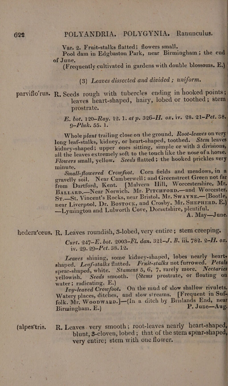 Var. 2. Fruit-stalks flatted; flowers small. , Pool dam in Edgbaston Park, near Birmingham ; the end | of June. | (Frequently cultivated in gardens with double blossoms. E,)_ (3) Leaves dissected and divided ; uniform. parviflo’rus. R, Seeds rough with tubercles ending in hooked points; leaves heart-shaped, hairy, lobed or toothed; stem: prostrate. i : i E. bot. 120—~Ray. 12. 1. at p. 326-H. ox. iv. 28. 21-Pet. 58. o-—Pluk. 55. 1. Whole plant trailing close on the ground. Root-leaves on very long leaf-stalks, kidney, or heart-shaped, toothed. Stem leaves: kidney-shaped; upper ones sitting, simple or with 3 divisions, all the leaves extremely soft to the touch like the nose of a horse. Flowers small, yellow. Seeds flatted; the hooked prickles very minute. | Small-flowered Crowfoot. Corn fields and meadows, in a gravelly soil. Near Camberwell; and Greenstreet Green not far from Dartford, Kent. {Malvern Hill, Worcestershire, Mr. Batiarp.—Near Norwich. Mr. Prrcurorp.—and W orcester. Sr. St. Vincent’s Rocks, near Bristol. Mr. Swayne.—(Bootle, near Liverpool. Dr. Bosrocs, and Crosby. Mr, SHEPHERD. E.) —Lymington and Lulworth Cove, Dorsetshire, plentiful. | A. May—June, hedera’ceus. R, Leaves roundish, 3-lobed, very entire; stem creeping. — Curt. 247-E. bot. 2003-Fi. dan. 321-J. B. ii. 782. 2-H. ox. iv. 29. 29—Pet. 38.12. a Leaves shining, some kidvey-shaped, lobes nearly hearts shaped. Leaf-stalks flatted. Fruit-stalks not furrowed. Petals spear-shaped, white. Stamens 5, 6, 7, rarely more. ectaries yellowish. Seeds smooth. (Stems prostrate, or floating on water; radicating. E.) | | Ivy-leaved Crowfoot. On the mud of slow shallow rivulets, Watery places, ditches, and slow streams. [Frequent in Sufs folk. Mr. Woopwagzp.J—(In a ditch by Brislands End, neat Birmingham. E.) , P. June—Aug, | (alpes‘tris. R, Leaves. very smooth; root-leaves nearly heart-shaped, blunt, 8-cloven, lobed; that of the stem spear-shaped, very entire; stem with one flower. |