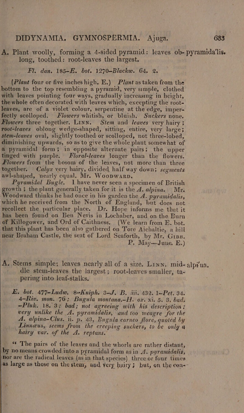 A. Plant woolly, forming a 4-sided pyramid: leaves ob- pyramida'lis. long, toothed: root-leaves the largest. Fl. dan. 185—E. bot. 1270—Blackw. 64, 2. (Plant four or five inches high. E.) Plant as taken from the bottom to the top resembling a pyramid, very simple, clothed with leaves pointing four ways, gradually increasing in height, the whole often decorated with leaves which, excepting the root- leaves, are of a violet colour, serpentine at the edge, imper- fectly scolloped. lowers whitish, or bluish. Suckers none. Flowers three together. Linn. Stem and leaves very hairy ; root-leaves oblong wedge-shaped, sitting, entire, very large; stem-leaves oval, slightly toothed or scolloped, not three-lobed, diminishing upwards, so as to give the whole plant somewhat of a pyramidal form; in opposite alternate pairs; the upper tinged with purple. Foral-leaves longer than the flowers. Flowers from the bosom of the leaves, not more than three together. Calyx very hairy, divided half way down; segments awl-shaped, nearly equal. Mr. Woopwarp, Pyramidal Bugle. 1 have never seen a specimen of British growth ; the plant generally taken for it is the 4. alpina, Mr. Woodward thinks he had once in his garden the A. pyramidalis, which he received from the North of England, but does not recollect the particular place. Dr. Hope informs me that it has been found on Ben Nevis in Lochaber, and on the Burn of Killogower, and Ord of Caithness. (We learn from E. bot. that this plant has been also gathered on Tore Aichaltie, a hill near Braham Castle, the seat of Lord Seaforth, by Mr. Grips. P, May—June E.) A. Stems simple; leaves nearly all of a size, Linn. mid- alpina. dle stem-leaves the largest; root-leaves smaller, ta- pering into leaf-stalks. : SE. bot. 477-Ludw. 8-Kniph. 3-J. B. iii. 432. 1—Pet. 34. A—Riv. mon. 76; Bugula montana.—H. ox. xi. 5. 3. bad. ~Pluk. 18.3; bad; not agreeing with his description ; very unlike the A. pyramidalis, and too meagre for the A. alpina-Clus. ii. p. 43, Bugula carneo flore, quoted by Linneus, seems from the creeping suckers, to be only a hairy var. of the A. reptans. *¢ The pairs of the leaves and the whorls are rather distant, by no means crowded into a pyramidal form asin J. pyramidalis, Nor are the radical leaves (as in that species) three or four times as large as those on the stem, and very hairy; but, on the con--