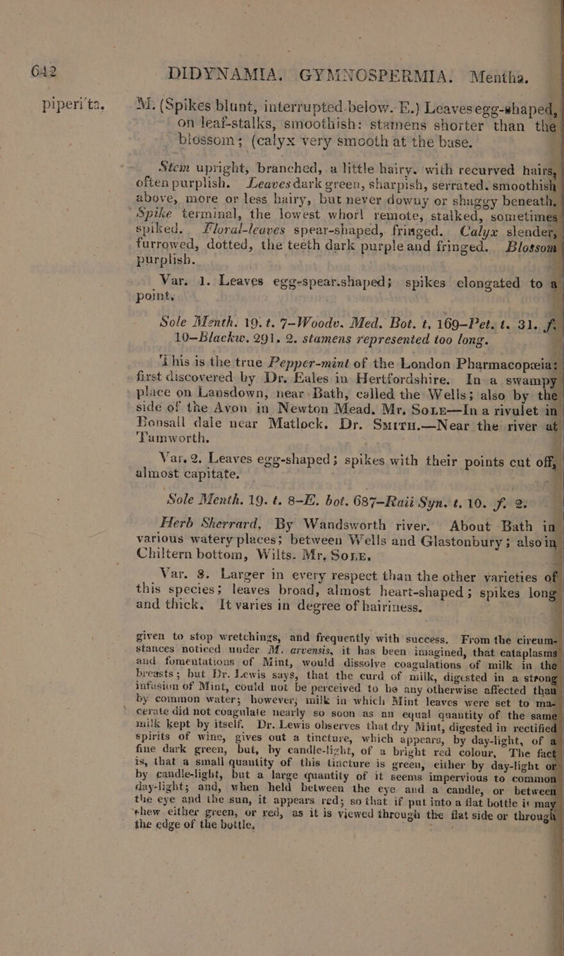 G42 piperi ‘ta. DIDYNAMIA, GYMNOSPERMIA. Mentha. sa, MI. (Spikes blunt, interrupted. below. EF.) Leaves egg-shaped, on leaf-stalks, smoothish: stamens shorter than the | _ blossom; (calyx very smooth at the base. i J | Stem upright, branched, a little hairy. with recurved hairs, often purplish. Leaves dark green, sharpish, serrated. smoothish above, more or less hairy, but never downy or shaggy beneath, spiked. Mloral-leaves spear-shaped, fringed. Calyx slender, | furrowed, dotted, the teeth dark purple and fringed. Blosso purplish. . | . a Var. 1. Leaves egg-spear.shaped; spikes elongated to a point, | Sole Menth. 19.t. 7-Woodv. Med. Bot. t, 169-Pet. t. 31. fi 10—Blackw. 291. 2. stamens represented too long. a § ‘Lhis is the trae Pepper-mint of the London Pharmacopzia: first discovered by Dr, Eales in Hertfordshire. In a swampy place on Lansdown, near: Bath, called the Wells; also by the side of the Avon in Newton Mead. Mr. Sore—In a rivulet in Bonsall dale near Matlock. Dr. Smrru.—Near the river at Tamworth. | ‘| i 4 Var. 2, Leaves egg-shaped; spikes with their points cut off, almost capitate. | Sole Menth. 19. t. 8-E. bot. 687-Raii Syn. t.10. fi 2 Herb Sherrard, By Wandsworth river. About Bath in| various watery places; between Wells and Glastonbury ; alsoin- Chiltern bottom, Wilts. Mr. Sons, . Var. 8. Larger in every respect than the other varieties of this species; leaves broad, almost heart-shaped; spikes long and thick, It varies in degree of hairiness. . | given to stop wretchings, and frequently with success. From the cireum- stances noticed under M. arvensis, it has been imagined, that cataplasms” aud fumentations of Mint, would dissolve coagulations of milk in the breasts; but Dr. Lewis says, that the curd of milk, digested in a strong infusion of Mint, could not be perceived to be any otherwise affected than by common water; however; milk in which Mint leaves were set to ma- | cerate did not coagulate nearly so soon as an equal quantity of the same milk kept by itself. Dr. Lewis observes that dry Mint, digested in rectified spirits of wine, gives out a tincture, which appears, by day-light, of a) fine dark green, but, by candle-lizht, of a bright red colour, The fact is, that a small quantity of this tincture is green, either by day-light or by candle-light, but a large quantity of it seems impervious to common day-light; and, when held between the eye and a candle, or between | the eye and the sua, it appears red; so that if put into a flat bottle it may. the edge of the bottle,