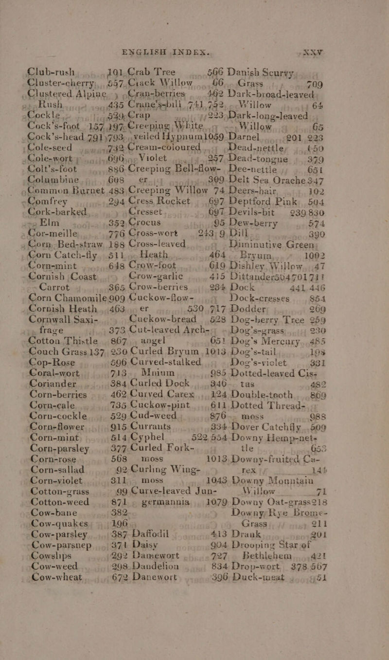 ENGLISH INDEX. ARV Club-rush 101, Crab Tree __566 Danish Scurvy. . Cluster-cherry;,557,Crack Willow _ 66....Grass _ 709 Clustered MEARE ) oGran-berres 462 Dark-broad-leaved Rush... 499439 Crane’ bili 74d 44? _ Willow : 64 Cockle’. | 530eCrap -223-Dark- long-leaved , Cock’s-foot (igleeN ee W bite J &lt;n, Willow. 65 Cock’ s-head 991)793e, veiled ypnum 1039 Perna 201 223 Cole-seed ouduin Cream-coioured , - Dead-nettle, £50 Cole-wort py ..»,690,5°Violet 957 Dead -tongue 379 Colt’s-foot $36 Creeping Bell-flow- Dee-neitie 651 Columbine Ges er.jy 309 Delt Sea — 3:47 Common Burnet 483 Creeping Willow 74 Deers-hair 102 Comfrey 294 Cress Rocket 687. Deptford Pink: 504 Cork- barked. . . ,Cresset. 697 Devils-bit 939830 «=o Elm . 352 Crocus 95 Dew- -berry 574 | 776 Cross-wort 243: 9, Dill 399 , Corn -Bed-straw 188 Cross-leaved &gt; -Diminutive Green: Corn Catch-fly, 511. Heath 464. Bryum 1002 Corn-mint 648 Crow-foot 619 Dishley, Willow, .47 Cornish Coast Crow-garlic 415 Dittanders0470171! Carrot 365 Crow- Berries 234 Dock 441 446 Corn Chamomile 909 Cuckow-flow- . 4 Dock-cresses S54 Cornish Heath . 463... er 530 717 Dodder 269 Cornwall Saxi- Cuckow-bread 528 Dog-berry Tree 259 .» frage 373 Cut-leaved Arch-;; ~ Dog’s-grass . 230 Cotton Thistle 867... angel 651 Dog” S Mercury 485 Couch Grass 137, 230 Curled Bryum 1013 Doe’ s-tail 19s Cop-Rose 506 Curved-stalked Doe s-vielet 331 Coral-wort 2713. Mnium Q85 Dotted-leaved Cis- Coriander _, 884 Curled Dock 340. tas 482 Corn-berries 462 Curved Carex 124 Double-taoth 80S Corn-eale 735 Cuckow-pint...611 Detted Thread-.&gt; Corn-cockle §29 Cud-weed 876... moss 888 Corn-flower 915 Currauts 334 Dover Catchily 509 Corn-mint 514 Cyphel 522 554 Downy Hemp-net- Corn-parsley 377 Curled Fork- : tle 153 Corn-rose 568 moss 1013, Downy-fruited Ca- Corn-sallad 92 Curling Wing- ae 144 Corn-violet 311. moss 1043 Downy Mountain Cotton-grass 99 Curve-leaved Jun- Willow 71 Cotton-weed | 871. germannia . 1079 Downy Oat-grass218 Cow-bane 382... ; , Downy, Rye Brome- Cow-quakes. 196, Grass , 211 Cow- parsley 387. Daffodil 413 Drauk o&gt; gol Cow-parsnep , 371 Daisy 904 Drooping Star ef Cowslips 292 Damewort 727. Bethichem.,42! Cow-weed -. 998. Dandelioa 834 Drop-wort. 378.567 Cow-wheat 672 Danewort 396, Duck-meat ,...g51