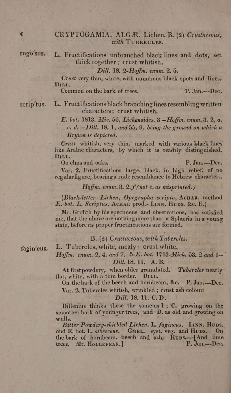 ae rugo’sus. scrip tus. fagin’eus. CRYPTOGAMIA, ‘ALGAE. Lichen. B. (2) Crustaceous, with 'T U BERCLES. L. Fructifications unbranched black lines and dots, set thick together; crust whitish. Dill. 18. 2-Hoffm. enum. 2. 5. Crust very thin, white, with uumerous black spots and lines. DIL. Common on the bark of trees. Pp, Jan.---Dec. L. Fructifications black branching lines resembling written characters; crust whitish. E. bot. 1813. Mic. 56, Lichenoides. 3 --Hoffm. enum. 3. 2, a. ce. d.— Dill, 18. 1, and 55, 9, being the ground on which a Bryum is minicted, Crust whitish, very thin, marked with various black lines like Arabic characters, by which it is readily distinguished. On elms and oaks. _ Pp. Jan.---Dec. . Var. 2. Fructifications large, black, in high relief, of no regular figure, bearinga rude resemblance to Hebrew characters. Hoffm. enum. 3. 2..f (not e. as misprinted. ) (Black-letter Lichen, Opegrapha scripta, AcCHAR, method E.-bot. L. Scriptus. AcHAR prod.- Linn. Huns. &amp;c. E.)_ Mr. Griffith by his specimens and observations, has satisfied me, that the above are nothing more than a Spheria ina young state, beforeits proper fructifications are formed, B. (2) Crustaceous, with Pusbeoreles L. Tubercles, white, mealy : crust white. Hoffm. enum. 2, 4. and 7. 5-E. bot. 1713-Mich, 53. 2 and 1-- Dill.18. 1. A.B. At firstpowdery, when older granulated. Tubercles nearly flat, white, with a thin border. Dr1.u. | On the bark of the beech and hornbeam, &amp;c. P. Jan.---Dec. Var. 2, Tubercles whitish, wrinkled ; crust ash colour: Dill. 18. 11..C.D. Dillenius thinks these the sameas 1; C. growing on the smoother bark of younger trees, and Dd. as old and growing on walls. Bitter Powdery-shielded Lichen. L. fagineus. Linn. Hups. and E. bot. L. albescens. GMEL. syst. veg. and Hups.. On the bark of hornbeam, beech and ash, Hups.---[ And lime trees, Mr. HoLLerean.] P. Jan,---Dec.