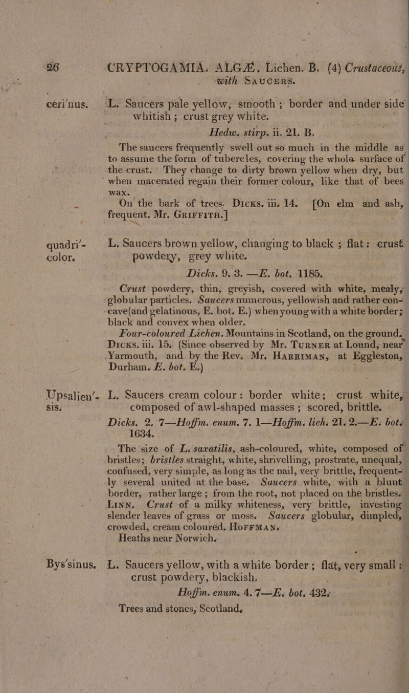 with SAUCERS. ceri‘nus. L. Saucers pale yellow, smooth ; border and under side | whitish ; crust grey white. Hedw. stirp. un. 21. B. The saucers frequently swell out so much in the middle as_ to assume the form of tubereles, covering the whole surface of. the crust. They change to dirty brown yellow when dry, but ‘when macerated regain their former colour, like that of bees wax. On the bark of trees. Dicks. iii. 14. [On elm and ash, frequent, Mr. GrirFita. | : quadri’= L. Saucers brown yellow, changing to black ; flat: crust color. _ powdery, grey white. Dicks. 9. 3: —E. bot. 1185. Crust powdery, thin, greyish, covered with white, mealy, globular particles. Saweers numerous, yellowish and rather con~ cave(and gelatinous, E. bot. E.) when young with a white border; black and convex when older. Four-coloured Lichen. Mountains in Scotland, on the ground. Dicxs. iii. 15. (Since observed by Mr. Turner at Lound, near Yarmouth, and by the Rev. Mr. Harriman, at eral a Durham. E. bot. E.) Upsalien’- L. Saucers cream colour: border white; crust whites SiS. composed of awl-shaped masses ; scored, brittle. Dicks. 2. 7—Hoffm. enum. 7. 1—Hoffm. lich. 21. 2.—E. bots 1634. The size of L. saxatilis, ash-coloured, white, catiusask of bristles; bristles straight, white, shrivelling, prostrate, unequal, confused, very simple, as long as the nail, very brittle, frequent ly several united at the base. “Suucers white, with a blunt border, rather large ; from the root, not placed on the bristles. Linn. Crust of a milky whiteness, very brittle, investing slender leaves of grass or moss. Saucers globular, dimpled, — crowded, cream coloured. HoFFMAN« Testis near Norwich, \ } . ~ ° . : : Bys’sinus, L. Saucers yellow, with a white border ; flat, very small crust powdery, blackish. Hoffm. enum. 4.7—E.« bot, 432, Trees and stones, Scotland,