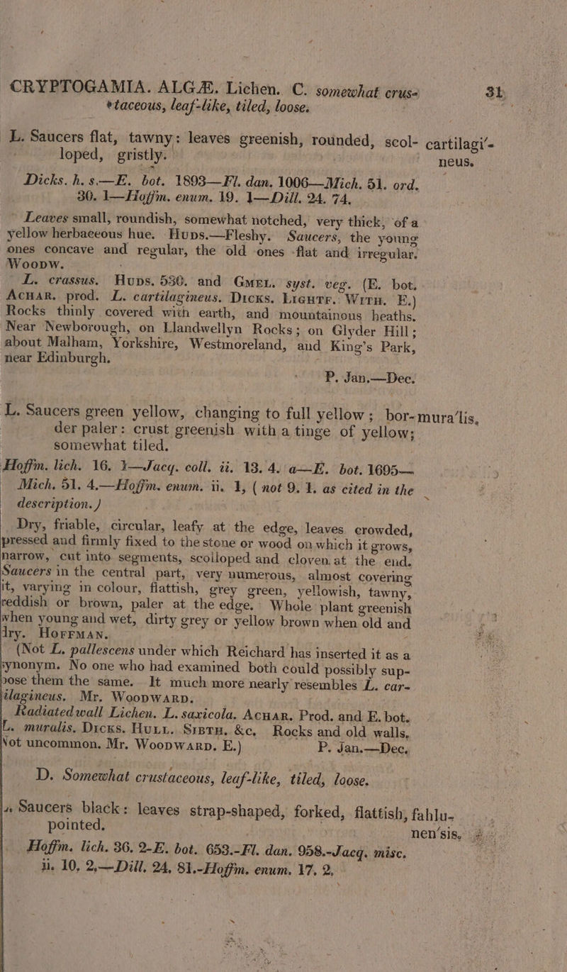 etaceous, leaf-like, tiled, loose. : _L. Saucers flat, tawny : leaves greenish, rounded, scol- cartilagi’- loped, gristly. | neus, Dicks. h.s—E. bot. 1893—Fl. dan. 1006—Mich. 51. ord. 30. I—Hofim. enum. 19. 1— Dill. 24. 74, » Leaves small, roundish, somewhat notched, very thick, ofa yellow herbaceous hue. Hups.—Fleshy. Saucers, the young ones concave and regular, the old ones -flat and irregular. Woopw. ; L. crassus. Huns. 530. and Gmen. syst. veg. (E. bot. Acuar. prod. L. cartilagineus. Dicks. Ligutr.. Wrrn. F.) Rocks thinly covered with earth, and mountainous heaths. Near Newborough, on Llandwellyn Rocks; on Glyder Hill; about Malham, Yorkshire, Westmoreland, and King’s Park, near Edinburgh. | P P. Jan,—Dec. L. Saucers green yellow, changing to full yellow; bor-mura'lis, der paler: crust greenish with a tinge of yellow; somewhat tiled. 3 | Hloffim. lich. 16. 1—Jacg. coll. ii. 13.4. a—E. bot. 1695— Mich, 51. 4,—Hojfm. enum. ii, 1, ( not 9.1. as cited in the description. ) Dry, friable, circular, leafy at the edge, leaves. crowded, pressed and firmly fixed to the stone or wood on which it grows, narrow, cut into segments, scolloped and cloven.at the end. Saucers in the central part, very numerous, almost covering it, varying in colour, fiattish, grey green, yellowish, tawny, reddish or brown, paler at the edge. Whole plant greenish when young and wet, dirty grey or yellow brown when old and Iry. Horrman. | . (Not L. pallescens under which Reichard has inserted it as a synonym. No one who had examined both could possibly sup- rose them the same. It much more nearly resembles L. car- tlagineus. Mr. Woopwarp. Radiatedwall Lichen. L. saxicola. Acuar. Prod. and E. bot. L. muralis, Dicks. Huu. SrpTH. &amp;c, Rocks and old walls, Not uncommon, Mr. Woopwarp. E.) P. Jan.—Dec. D. Somewhat crustaceous, leaf-like, tiled, loose. « Saucers black: leaves strap-shaped, forked, flattish, fahlu- pointed. ; nen’sis, ¢ Hoffm. lich. 36, 2-E. bot. 653.-Fl. dan. 958.-Jacq, misc. ae u. 10, 2,— Dill, 24, 81.-Hoffm. enum. 17,2,