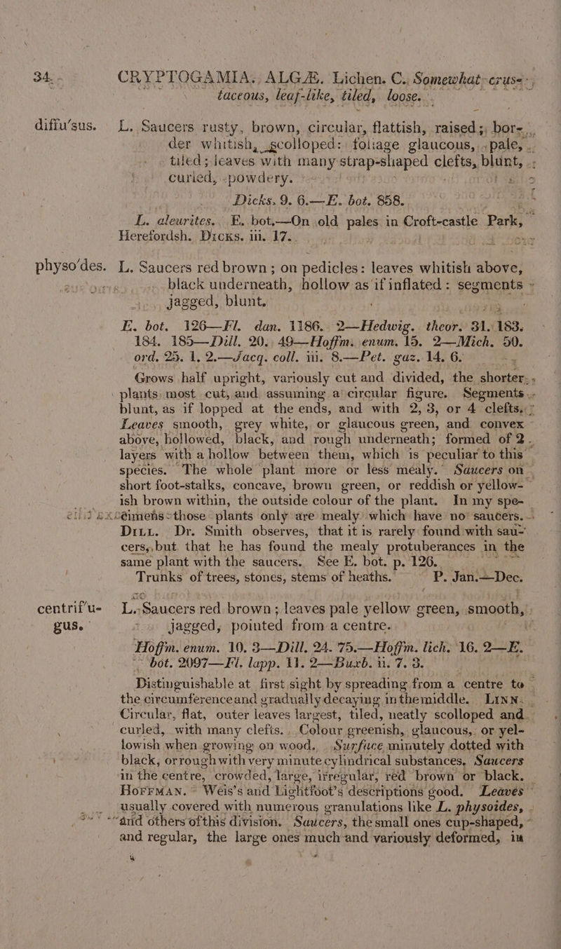 diffu’sus. centrif’u- gus. a taceous, leaf- like, tiled, loose. ‘ curied, -_powdery. Dicks. 9. 6.—E. bot. 858. Herefordsh. Dicks. in. 17. L. Saucers red brown; on pedicles: leaves whitish as iee jagged, blunt. 184. 185—Diill, 20. 49-—-Hoffm. enum, 15. 2—Mich, 50. ord. OF. 1. 2.—Jacq. coll, 11. 8.—Pet. gaz. 14. 6. Oy 4 ish brown within, the outside colour of the plant. In my spe- cers, but that he has found the mealy protuberances in the same plant with the saucers. See E. bot. p. 126. Trunks of trees, stones, stems of heaths. P. Jan.—Dec. jagged, pointed froma centre. bot. 2097—Fi. lapp. 11. 2—Buxb. ii. 7. 3. the circumferenceand gradually decaying inthemiddle. Linn. lowish when growing on wood., Surface minutely dotted with black, orrough with very minute cylindrical substances, Saucers in ‘the centre, crowded, large, irregular, red brown or black. and regular, the large ones much and variously deformed, ii uy be