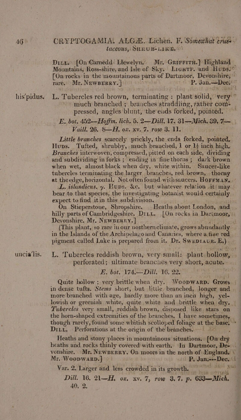 taceous,: SHRUB-LIKE. &gt; Dinu. [On Carnedd Llewelyn. Mr. Grrreitn.} Highland | Mountains, Ross-shire, and Isle of Sky: Lieutr. and Hups/* ?- [On rocks: in the mountainous parts of Dartmoor, Devonshire, ': rare, Mr. Newserry. |) oh BoM of pgeitien 2 a his’pidus. L. Tubercles red brown, terminating : plant solid, very!” much branched ; branches straddling, rather com= pressed, angles blunt, the euds forked, pointed. E., bot, 452—Hoffm. lich. 5. 2—Dill, 17. 31—Mich. 39, 7—~ _ Vail. 26. 8—H, ox. xv..7. row 3. 11. Little branches scarcely prickly, the ends forked, pointed. Hups. Tufted, shrubby, much branched, i or 14 inch high, Branches interwoven, compressed, pitted on each side, dividing and subdividing in forks ; “ending in fine thorns ; dark brown when wet, almost black when dry, white within. Saucer-like tubercles terminating the larger | branches, red brown, thorny at the edge, horizontal. Not often found withsaucers. HOFFMAN... - LL, islandicus, y. Foups. &amp;c. but whatever relation at’ may bear to that species, the investigating botanist would. cettainly. expect to find itin this subdiyision. On. Stieperstone, Shropshire. . Heaths about London, and hilly parts of Cambridgeshire, Dr LL. [On rocks ia Darimoor, | Devonshire. Mr. NEWBERRY. | i (This plant, so rare in our northern climate, grows abnadantly- in the Islands of the Archipelayo and Canaries, where a tise red. pigment called Lake is prepared from it. Dr. Swepravr. E, ) uncia/lis. L. Tubercles reddish brown, very small: plant. hollow, perforated; ultimate branciés very short, acute. - E. bot. 174,— Dill. 16, 22. Quite hollow ; very brittle when dry. Woopwarp. Grows | | in dense tufts. Stems short, but little. branched, Jonger and | more branched with age, hardly more than an inca high, yel- lowish or greenish white, quite white and brittle when dry. | Tubercles very small, reddish brown, disposed like. stars on the horn-shaped extremities of the branches. 1 have sometimes, though rarely, found some whitish scolloped foliage at the base, - * Di... Perforations at the origin of the branches.) Heaths and stony places in mountainous situations.« [On-dry heaths and rocks thinly covered with earth. In Dartmoor, De-: vonshire. “Mr. Newserry. On moors in the north of ‘Englands © Mr..Woopwarp.] P. Janit-Deas' Var. 2. ‘Larger and legs crowded 1 in its growth, Dill. 16. 2—H, ox. xv. 7, row 3.7%. ps 633-—Mich. 40. 2,