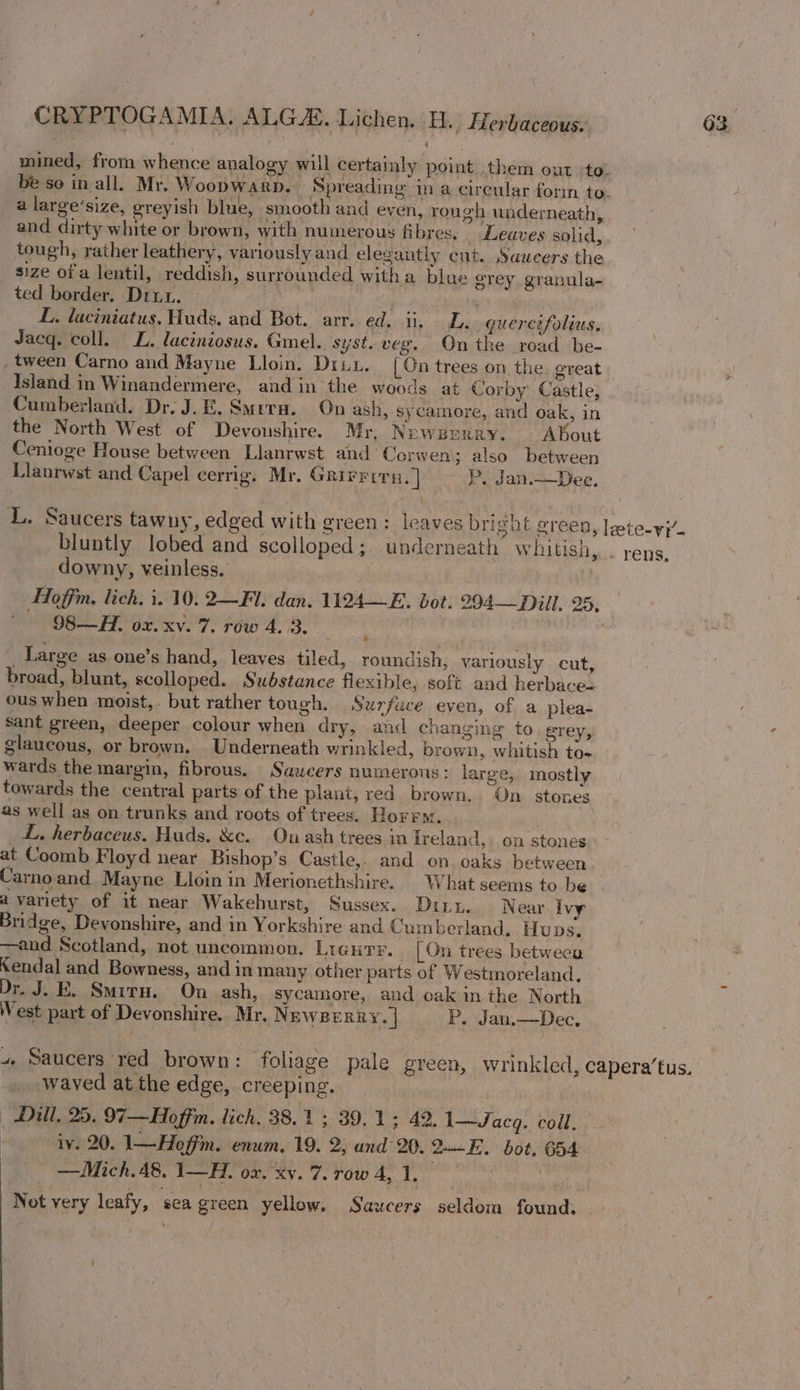 mined, from whence analogy will certainly point. them out to. be so in all. Mr. Woopwarp. - Spreading in a circular forin to. a large’size, greyish blue, smooth and even, rough underneath, and dirty white or brown, with numerous fibres. Leaves solid, tough, rather leathery, variously and elegantly cut. Saucers the size ofa lentil, reddish, surrounded witha blue grey granula- ted border, Dru. m L. laciniatus, Huds, and Bot. arr. ed. ii, LL. guercifolius, Jacq. coll. L. laciniosus. Gmel.. syst. veg. On the road be- tween Carno and Mayne Lloin. Dri. [On trees on the. great Island in Winandermere, and in the woods at Corby’ Castle, Cumberland. Dr. J.E. Smrra. On ash, sycamore, and oak, in the North West of Devoushire. Mr, Newzperry. ABout Cenioge House between Llanrwst and Corwen; also between Llanrwst and Capel cerrig. Mr. Grivrrrs.] P, Jan.—Dee. L. Saucers tawny, edged with green: leaves bright green, lete-y- bluntly lobed and scolloped; underneath whitish, . rens, downy, veinless. | FAoffm. lich. i. 10. 2—Fl. dan. 1124—E. bot. 294— Dill. 20. 98—H. ox. xv. 7. row 4. 3. _Large as one’s hand, leaves tiled, roundish, variously cut, broad, blunt, scolloped. Substance flexible, soft and herbace- ous when moist, but rather tough. Surfuce even, of a plea- sant green, deeper colour when dry, and changing to grey, glaucous, or brown, Underneath wrinkled, brown, whitish to- wards the margin, fibrous. Saucers numerous : large, mostly towards the central parts of the plant, red brown. On stones — as well as on trunks and roots of trees. Horr. L, herbaceus. Huds. &amp;c. Ouash trees in Ireland, on stones at Coomb Floyd near Bishop’s Castle, and on oaks between Carnoand Mayne Lloinin Merionethshire. | What seems to be a variety of it near Wakehurst, Sussex. Dinzy. Near. Ivy Bridge, Devonshire, and in Yorkshire and Cumberland. Huns. —and Scotland, not uncommon. Lreurr. _ [On trees between Xendal and Bowness, and in many other parts of Westmoreland. Dr. J. E. Smiru. On ash, sycamore, and oak in the North West part of Devonshire. Mr. NewBerry. | P. Jan.—Dec, 4 Saucers red brown: foliage pale green, wrinkled, capera’tus. waved at the edge, creeping. | Dill, 25. 97—Hoffim. lich. 38.1; 39.1; 42. 1—Jacg. coll. iv. 20. 1—Hoffin. enum. 19. 2; and 20. 2-——E. bot, 654 — — Mich. 48, 1—H. ox. xv. 7. row A, 1, | | Not very leafy, ‘sea green yellow. Saucers seldom found, |