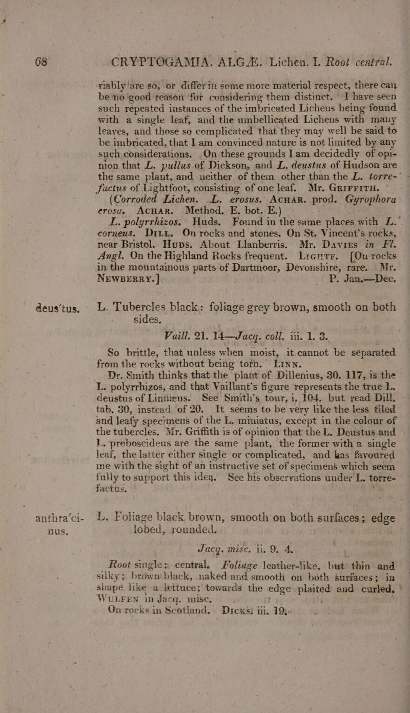 deus’tus. anthra’ci- pus, riably’are so, or differ in some more material respect, there can be no ‘good reason for considering them distinct. I have seen such repeated instances of the imbricated Lichens being found with a single leaf, and the umbellicated Lichens with many leaves, and those so complicated that they may well be said to be imbricated, that I am convinced nature is not limited by any such considerations. _On these grounds I am decidedly of opi- nion that L. pullus of Dickson, and L. deustus of Hudson are the same plant, and neither of them other than the L. torre-° - facius of Lightfoot, consisting of one leaf. Mr. GrirFiTH. ° (Corroded Lichen. .L. erosus. ACHAR. prod. pararrer erosue ACHAR. Method. E. bot. E.) é L. polyrrhizos. Huds. Found in the same places wi ith 7... corneus. Diti. On rocks and stones. On St. Vincent's rocks, near Bristol. Hups. About Llanberris. Mr. Daviss in Fi. Angl. On the Highland Rocks frequent. Lrentr. [On rocks in the mointainous parts of Dartmoor, Devonshire, rare. Mr. NEWBERRY. | . Pp. Jan.—Dec. L. Tubercles black: foliage grey brown, niiiakt on bath sides, Vaill. 21. 14—Jacq. coll. iii. 1. 3. So brittle, that unless when moist, it.cannot be separated from the rocks without being tofh. Linn. Dr. Smith thinks that the plant of Dillenius, 30. 117, 1s the L. polyrrhizos, and that Vaillant’s figure represents the true L. deustus of Linneus. See Smith’s Niet i. 104. but read Dill. tab, 30, instead of 20. It seems to be very like the less tiled and leafy specimens of the L. miniatus, except in the colour of L. preboscideus are the same plant, the former witha single leaf, the latter either single or complicated, and kas fay oured me with the sight of an instructive set of specimens which seem ay to support this idea. See his observations under L. torre- actus. aca L. Foliage black brewn, smooth on both surfaces ; edge lobed, rounded. Jacq. misc. ii. 9, A, Root smgle;. central. Foliage leather-like, beets thin and silly ; hake u black, naked ak! smooth on both surfaces; in shapé like a lettuce; towards the edge . plaited and curled, } WULFEN in Jacq. misc, ; On rocks in Scotland. Dicks) j m. 19;