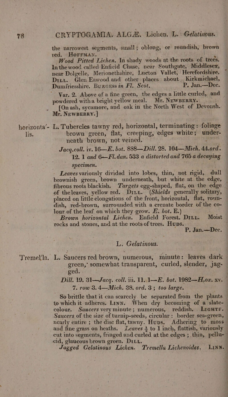 the narrowest segments, small; oblong, or roundish, brown red. HorrMan. . a y Wood Pitted Lichen. In shady woods at the roots of trees. Inthe wood called Enfield Chase, near Southgate, Middlesex, near Dolgelle, Merionethshire, Lucton Vallet, Herefordshire. Dixy. Glen Eawood and other places about... Kirkmichael, ‘Dumfriesshire. Burcsssin Fl. Scot. P, Jan.—Dec. Var. 2. Above of a fine green, the edges a little curled, and powdered witha bright yellow meal. Mr. NEWBERRY. | {On ash, sycamore, and oak in the North West of Devonsh. Mr. NEWBERRY. | | . horizonta’- L. Tubercles tawny red, horizontal, terminating: foliage lis. brown green, flat, creeping, edges white; under- neath brown, not veined. | ve Jacq.coll. iv. 16—E. bot. 888—Dill. 28. 104—Mich. 44,ord. 12. 1 and 6—FI. dan. 533 a distorted and 765 a decaying specimen. ~ | Leaves variously divided into lobes, thin, not rigid, dull brownish green, brown underneath, but white at the edge, — fibrous roots blackish. Targets egg-shaped, flat, on the edge _ of theleaves, yellow red. Dit. (Shields generally solitary, placed on little elongations of the front, horizontal, flat, roun- dish, red-brown, surrounded with a crenate border of the co- lour of the leaf on which they grow. E. bot. E.) . Brown horizontal Lichen. Enfield Forest. Ditu. Moist rocks and stones, and at the roots of trees. Huns. | ; | | P. Jan.—Dec. L. Gelatinous: ‘i Tremel/la. L. Saucers red brown, numerous, minute: leaves dark © green,’ somewhat transparent, curled, slender, jag- — ged. ? Dill. 19, 31—Jacgq. coll. in. 11. 1—E. bot. 1982—H.ox. KV. | 7. row 3.4—Mich. 38. ord. 3; too large. . So brittle that it can scarcely be separated from the plants to which it adheres. Linn. When dry becoming of a slate-— colour. Saucers very minute; numerous, reddish. LicHtr. Saucers of the size of turnip-seeds, circular: border sea-green, nearly entire ; the disc flat, tawny. Hups. Adhering to moss _ and fine grass on heaths. Leaves 3 to 1 inch, flattish, variously cut into segments, fringed and curled at the edges ; thin, pellu-~ cid, glaucous brown green. DIL. . 7 Jagged Gelatinous Lichen. Tremella Lichenoides, LINN.