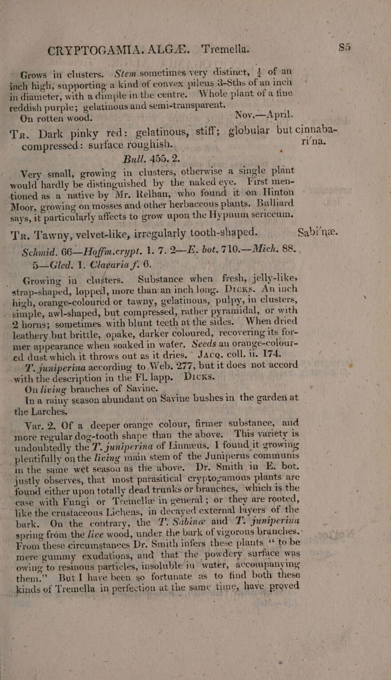 - Grows itt clusters. Stem sometimes very distinct, } of an inch high, supporting a kind of convex piieus 3-Sths of an inch in diameter, with a dimple in the centre. Whole plant of a tine reddish purple; gelatinous and semi-transparent. On rotten wood. | Nov,—Apmil. Tr. Dark pinky red: gelatinous, stiff; globular but cinnaba- compressed: surface roughish. | rina. Bull. 455. 2. 3 Very small, growing in clusters, otherwise a single plant would hardly be distinguished by the naked eye. YVurst men- tioned as a native by Mr. Relhan, who found it on Hinton Moor, growing on mosses and other herbaceous plants. Ballard says, it particularly affects to grow upon the Hy pnum sericenin. T'r. Tawny, velvet-like, irregularly tooth-shaped. Sabine. Schnid. 66—Hoffm.crypt. 1. 7. 2—E. bot. 710.— Mich. 88. 5—Gled. 1. Clayaria f. 6. Hi / _ Growing in clusters. Substance when fresh, jelly-like, strap-shaped, lopped, more than an inch long. Drews. An inch high, orange-coloured or tawny, gelatinous, pulpy, in clusters, - simple, awl-shaped, but compressed, rather pyramidal, or with 2 horns; sometimes with blunt teeth at the sides. When dried leathery but brittle, opake, darker coloured, recovering its for- mer appearance when soaked in water. Seeds.au orange-colour- ed dust which it throws out as it dries. * JAcg. coll. un. 174. _ -F. juniperina according to Web, 277, but it does not accord. with the description in the FL. Japp. Dicks. On living branches of Savine. Ina rainy season abundant on Savine bushes in the garden at the Larches, Var. 2. Of a deeper orange colour, firmer substance, and more regular dog-tooth shape than the above. This variety is undoubtedly the 7. guniperina of Linneeus, I found it growing 'plentifully on the Ziving main stem of the Juniperus communis in the same wet season as the above. Dr. Smith in E. bot. justly observes, that most parasitical cryptozamous plants are found either upon totally dead trunks or branches, which is the -ease with Fungi or Tremelle in general ; or they are rooted, like the crustaceous Lichens, in decayed external layers of the bark. On the contrary, the 7. Sabine and 7. juniperina spring from the live wood, under. the bark of vigorous branches. : From these circumstances Dr. Smith infers these plants ‘* to be mere gummy exudations, and that” the powdery surface was owing to resinous particles, ivsoluble iu water, accompanying them.’ ButI have been go fortunate as to find both these : _ kinds of Tremella in perfection at the same time, have proved