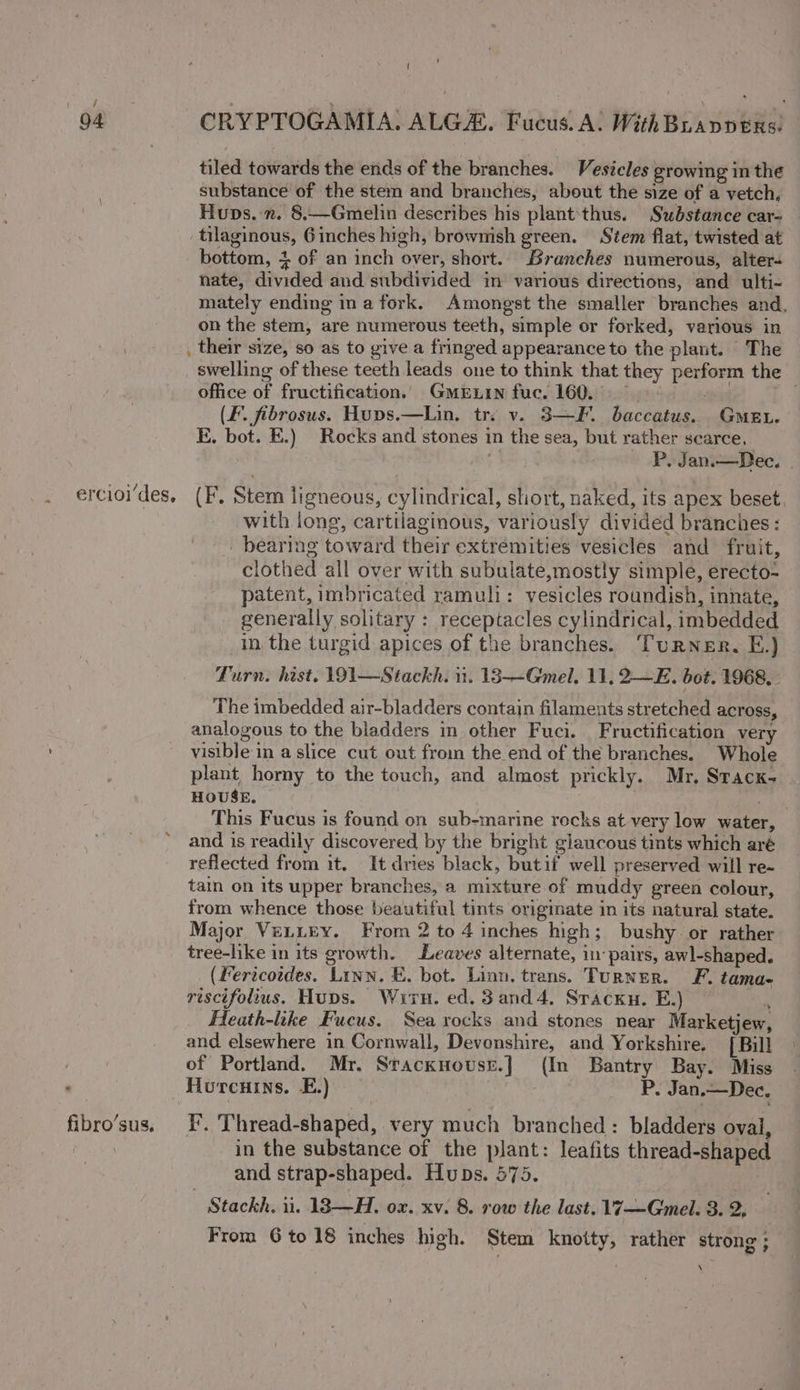 ercioides, ” fibro’sus, ! CRYPTOGAMIA. ALGE. Fucus. A! WithBuavpens: tiled towards the ends of the branches. Vesicles growing in the substance of the stem and branches, about the size of a vetch, Huns. ”. 8.—Gmelin describes his plant‘thus. Substance car- — bottom, + of an inch over, short. Branches numerous, alter- nate, divided and subdivided in various directions, and ulti- mately ending ina fork. Amongst the smaller branches and, on the stem, are numerous teeth, simple or forked, various in their size, so as to give a fringed appearance to the plant. The swelling of these teeth leads one to think that they perform the office of fructification. GmeELin fuc. 160... | (F. fibrosus. Hups.—Lin. tr: v. 3—F. baccatus. GmMen. E, bot. E.) Rocks and stones in the sea, but rather scarce, . 4. P. Jan.— Dec. (EF. Stem ligneous, cylindrical, short, naked, its apex beset with long, cartilaginous, variously divided branches: bearing toward their extremities vesicles and fruit, clothed all over with subulate,mostly simple, erecto- patent, imbricated ramuli: vesicles roundish, innate, generally solitary : receptacles cylindrical, imbedded In the turgid apices of the branches. Turner. E.) Turn. hist. 191—Stackh. 1. 13—Gmel. 11, 2—E. bot. 1968. - The imbedded air-bladders contain filaments stretched across, analogous to the bladders in other Fuci. Fructification very visible in a slice cut out from the end of the branches. Whole plant horny to the touch, and almost prickly. Mr, Sracx- HOUSE. sa This Fucus is found on sub-marine rocks at very low water, and is readily discovered by the bright giaucous tints which aré reflected from it. It dries black, butif well preserved will re- tain on its upper branches, a mixture of muddy green colour, from whence those beautiful tints originate in its natural state. Major VELLEY. From 2 to 4 inches high; bushy or rather tree-like in its growth. Leaves alternate, in pairs, awl-shaped. (Fericotdes. Linn. E. bot. Linn. trans. Turner. F. tama- riscifolius. Hups. Wiurn. ed. 3and4. Sracku. E.) © H Heath-like Fucus. Sea rocks and stones near Marketjew, and. elsewhere in Cornwall, Devonshire, and Yorkshire, | Bill of Portland. Mr. Stacknowsr.] (In Bantry Bay. Miss Hourcuins. E.) | P. Jan.—Dec. F. Thread-shaped, very much branched : bladders oval, in the substance of the plant: leafits thread-shaped and strap-shaped. Huns. 575. : Stackh. 11. 13—H. ox. xv. 8. row the last. 17—Gmel. 3. 2, From 6 to 18 inches high. Stem knotty, rather strong ; \