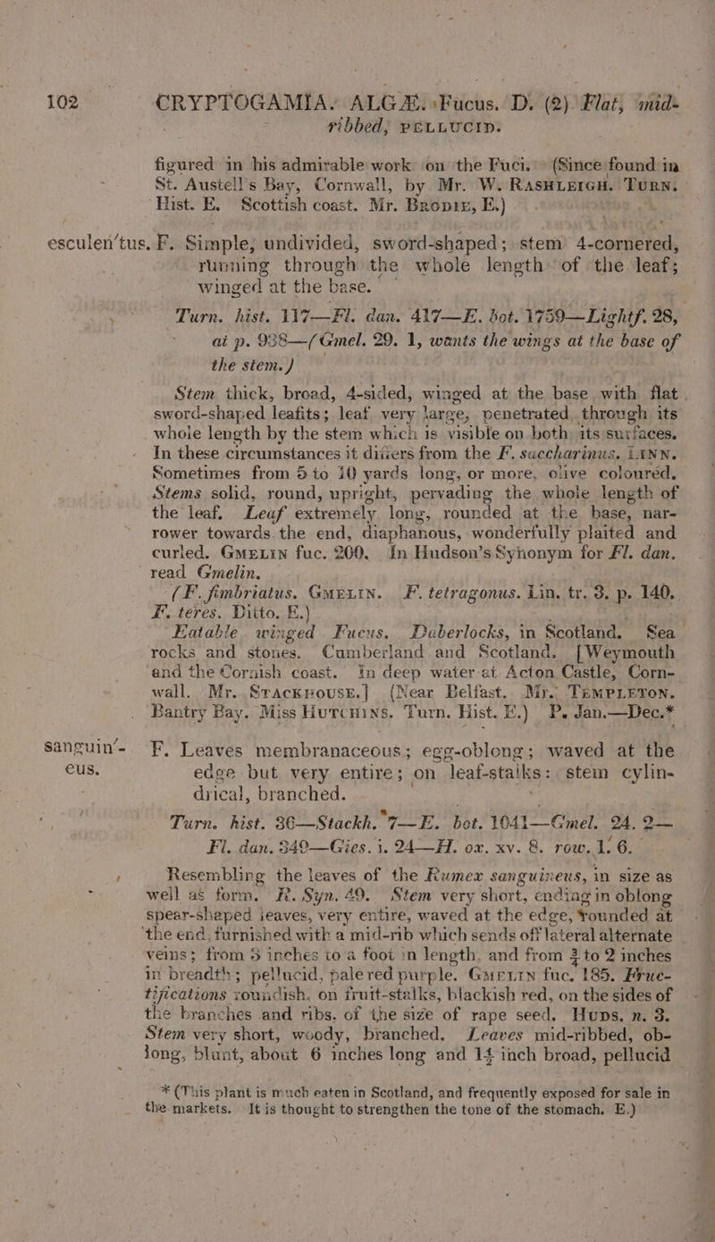 ribbed, PELLUCID. figured in his admirable work ‘on the uci.» (Since found in St. Austell’s Bay, Cornwall, by Mr. W. RASHLEIGH. TURN, Hist. E. Scottish coast. Mr. Bropis, E.) toe wh esculen’tus. F. Simple, undivided, sword-shaped ; stem 4-cornered, running through the whole length of the leaf; winged at the base. | Turn. hist. 1V7—Fl; dan. 417-—E. Bot. 1759—Lightf. 28, ai p. 938—(Gimel. 29. 1, wants the wings at the base of the stem.) : Stem thick, broad, 4-sided, winged at the tase with flat sword-shaped leafits ; leat very large, penetrated through its whoie length by the stem which is visible on both its surfaces. In these circumstances it diiers from the F. succhari nus. LINN. Sometimes from 5 to iQ yards long, or more, olive colouréd,. Stems solid, round, upright, pervading the whole length of the leaf. Leaf extremely long, rounded at the base, nar- rower towards. the end, diaphanous, wonderfully plaited and curled. Gmexin fuc. 260. In Hudson’s Synonym for Fl. dan. read Gmelin. | wi (F. fimbriatus. Guriin. F. tetragonus. Lin. tr. 3. p. 140. EF’. teres. Ditto. E.) 5 ke Bh Eatable. winged Fucus. Duberlocks, in Scotland. Sea rocks and stones. Cumberland and Scotland. [Weymouth and the Cornish coast. in deep water-at Acton Castle, Corn- wall. Mr. Srackpouse.| (Near Belfast.. Mr. Timpieron. Bantry Bay, Miss Hurcnins. Turn, Hist. EF.) P. Jan.—Dec.* » ara | Sanguin'- F, Leaves membranaceous; egg-oblong; waved at the eus. edge but very entire; on leaf-staiks: stem cylin- drical, branched. ; é / * a 3 Turn. hist. 36—Stackh.. 7——E. bot. 1041—Gmel. 24. 2— Fi. dan. 349—Gies. i. 24—H. ox. xv. 8. row. 1: 6. F Resembling ae leaves of the Rumex sanguineus, in size as * well as form. R. Syn. 49. Stem very short, ending in oblong spear-sheped ieaves, very entire, waved at the paul i Sounded at : ‘the end, furnished with a mid-rib which sends off lateral alternate veins 3 fromm $3 inches to a foot in length, and from 3 to 2 inches in breadth ; Poa! palered purple. Gurutn fuc, 185. Brue- tifications voundish, on fruit-stalks, blackish red, on the sides of the branches and ribs. of the size of rape seed. Huns. n. 3. Stem very short, woody, branched. Jeaves mid-ribbed, ob- jong, blunt, about 6 inches long and i inch broad, pellucid ¥ (This tart? is m oe eaten in Scotland, and frequently exposed for sale in the markets, It is thought to strengthen the tone of the stomach. E.)