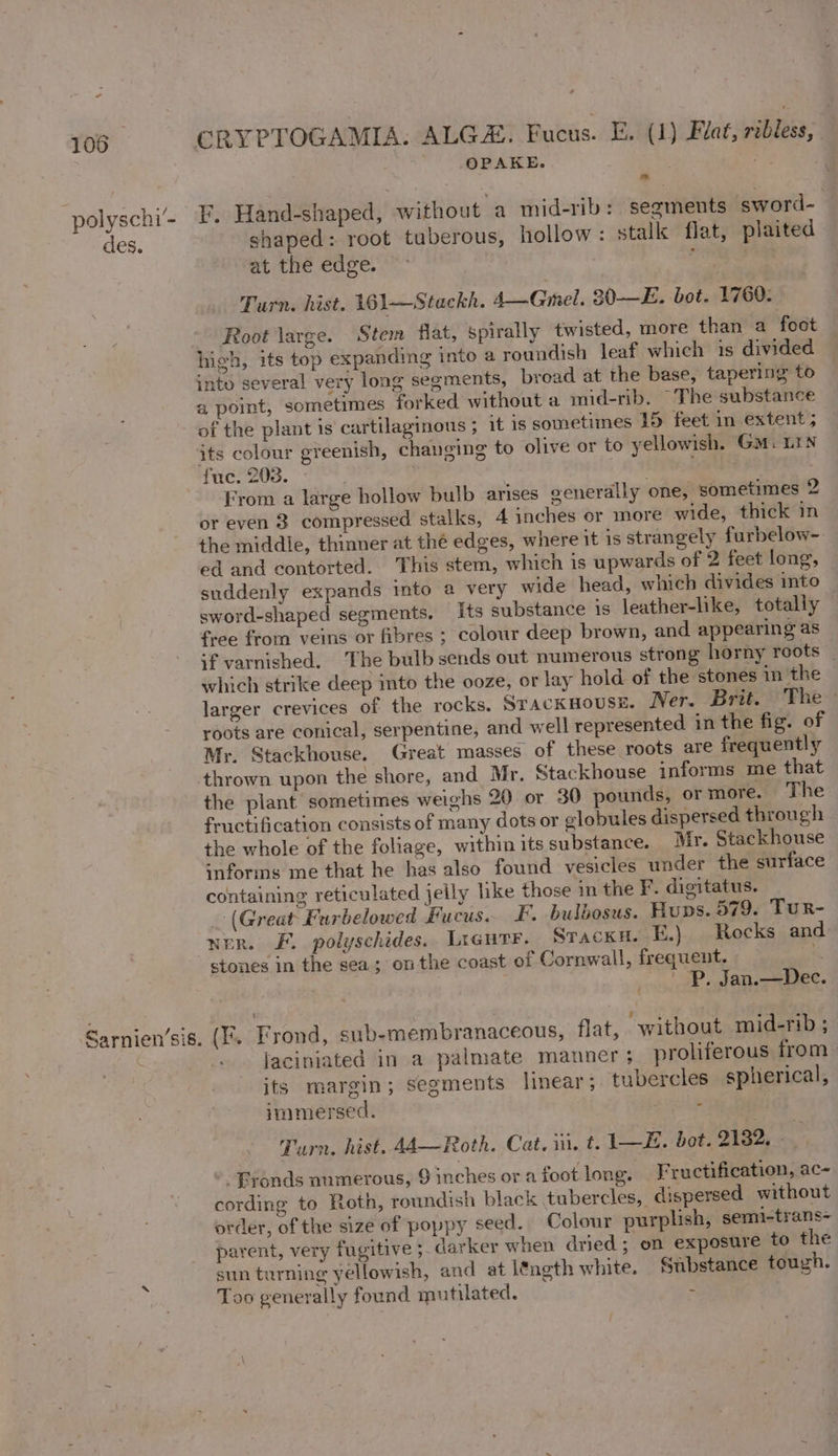 polyschi’- des. Sarnien’sis. CRYPTOGAMIA. ALGAE. Fucus. E. (1) Flat, ribless, OPAKE. , : 7 F. Hand-shaped, without a mid-rib : segments sword-_ shaped: root tuberous, hollow: stalk flat, plaited at the edge. — shin. Turn. hist, 161—Stackh. 4—Gmel. 30-—E. bot. 1760. Root large. Stem flat, spirally twisted, more than a foct high, its top expanding into a roundish leaf which is divided into several very long segments, broad at the base, tapering to a point, sometimes forked without a mid-rib. “The substance of the plant 1s cartilaginous ; it is sometimes 15 feet in extent ; its colour greenish, changing to olive or to yellowish. GM. LIN fuc. 208. ; . eee ba | From a large hollow bulb arises generally one, sometimes 2 or even 83 compressed stalks, 4 inches or more wide, thick in the middle, thinner at thé edges, where it is strangely furbelow- ed and contorted. This stem, which is upwards of 2 feet long, suddenly expands into a very wide head, which divides into sword-shaped segments, Its substance is leather-like, totally free from veins or fibres ; colour deep brown, and appearing as if varnished. The bulb sends out numerous strong horny roots _ which strike deep into the ooze, or lay hold of the stones in the larger crevices of the rocks. STACKHOUSE, Ner. Brit. The: roots are conical, serpentine, and well represented in the fig. of Mr. Stackhouse. Great masses of these roots are frequently thrown upon the shore, and Mr, Stackhouse informs me that the plant sometimes weighs 20 or 30 pounds, or more. The fructification consists of many dots or globules dispersed through the whole of the foliage, within its substance. Mr. Stackhouse informs me that he has also found vesicles under the surface containing reticulated jeily like those in the F. digitatus.. (Great Furbelowed Fucus. F. bulbosus. Hups. 579. Tur- ner. F. polyschides. Lreutr. STackH. E.) Rocks and stones in the sea; onthe coast of Cornwall, frequent. ‘i | Pp. Jan.—Dec. (EF. Frond, sub-membranaceous, flat, “without mid-rib ; jaciniated in a palmate manner; proliferous from its margin; segments linear; tubercles spherical, immersed. : Turn, hist, Ad—-Roth..Cat, iii. t, LB. bot. 9132, *. Bronds numerous, 9 inches or a foot long. Fructifieation, ac~ cording to Roth, roundish black tubercles, dispersed without order, of the size of poppy seed. Colour purplish, semi-trans- parent, very fugitive ;. darker when dried ; on exposure to the sun turning yellowish, and at léngth white, Snbstance tough. Too generally found mutilated. -