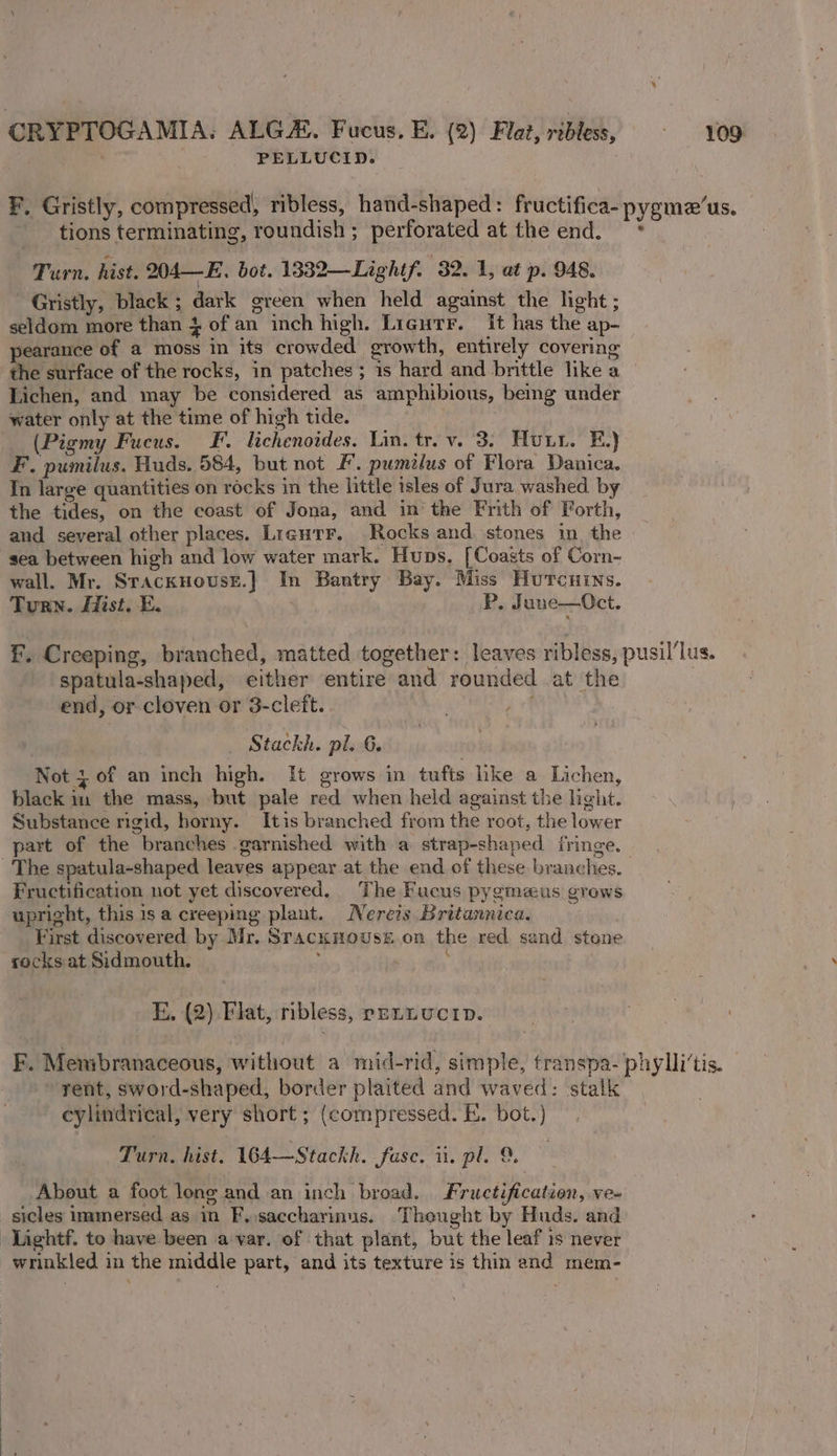 PELLUCID. F. Gristly, compressed, ribless, hand-shaped: fructifica- pygme’us. tions terminating, roundish ; perforated at the end. * Turn. hist. 204—E. bot. 1332—Lightf. 32. 1, at p. 948, Gristly, black ; dark green when held against the light ; seldom more than 4 of an inch high. Lieutr. It has the ap- pearance of a moss in its crowded growth, entirely covering the surface of the rocks, in patches; is hard and brittle like a Lichen, and may be considered as amphibious, bemg under water only at the time of high tide. (Pigmy Fucus. F. lichenoides. Lin. tr. v. 3. Hun. E.) F. pumilus. Huds. 584, but not F. pumilus of Flora Danica. In large quantities on rocks in the little isles of Jura washed by the tides, on the coast of Jona, and in‘ the Frith of Forth, and several other places. Ligurr. Rocks and stones in the sea between high and low water mark. Huns. [Coasts of Corn- wall. Mr. SrackHousE.}] In Bantry Bay. Miss Hurcuins. Turn. Hist. E. P. June—Oct. EF, Creeping, branched, matted together: leaves ribless, pusil’lus. spatula-shaped, cither entire and rounded at the end, or cloven or 3-cleft. . Stackh. pl. 6. Not 3 of an inch high. It grows in tufts lke a Lichen, black in the mass, but pale red when held against the light. Substance rigid, horny. Itis branched from the root, the lower part of the branches garnished with a strap-shaped fringe. The spatula-shaped leaves appear at the end of these branches. | Fructification not yet discovered. The Fucus pygmzus grows upright, this 1s a creeping plant. Nereis Britannica. First discovered by Mr. Sracknouss on the red sand stone rocks at Sidmouth. E. (2) Flat, ribless, rennucip. F. Membranaceous, without a mid-rid, simple, transpa- phylli’tis. rent, sword-shaped, border plaited and waved: stalk cylindrical, very short ; (compressed. E. bot.) Turn. hist. 164—Stackh. fase. ii. pl. 9. About a foot long and an inch broad. Fructification, ve- sicles immersed as in F..saccharinus. Thought by Huds. and Lightf. to have been a-var. of that plant, but the leaf is never wrinkled in the middle part, and its texture is thin and mem-