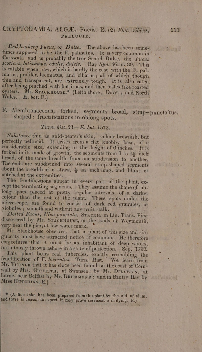 PELLUCID. Cornwall, and is probably-the true Scotch Dulse, the Fucus scoticus, latissimus, edulis, dulcis. Ray Syn. 46. 0.30. This matus, prolifer, laciniatus, and ciliatus; all of which, though after being pinched with hot irons, and then tastes like roasted Wales. £. bot. E.) I’, _Membranaceous, forked, segments broad, strap— shaped : fructifications in oblong spots. Turn. hist. 71—E. bot. 1573. Substance thin as gold-beater’s skin; colour brownish, but perfectly pellucid. It arises from a flat knobby base, of a considerable size, extending to the height of 6 inches. It is forked in its mode of growth, the segments from 1 to 14 inch broad, of the same breadth from one subdivision to another, The ends are subdivided into several strap-shaped segments about the breadth of a straw, + an inch long, and bluut: or notched at the extremities. . . The fructifications appear in every part of the plant, ex- cept the terminating seginents. They assume the shape of ob- long spots, placed at pretty regular intervals, of a darker colour than the rest of the plant. These spots under the microscope, are found to consist of dark red granules, or globules ; smooth and without any fruit-stalk. ~ _ Dotted Fucus, Ulva punctata, Svacku. in Lin, Trans. First discovered by Mr. STACKHOUSE, on the sands at Weymouth, very near the pier, at low water mark. *_ Mr. Stackhouse observes, that a plant of this size and sin- gularity must have attracted notice if common. He therefore conjectures “that it must be an inhabitant of deep waters, fortuitously thrown ashore in a state of perfection. Sep. 1792. This plant bears real tubercles, exactly resembling the fruetification of PF. /aceratus. Turn. Hist,’ We learn from Mr. Turner that it has since been found on the coast of Corn- wall by Mrs. Grirrrru, at Swansea: by Mr. DiLtLwyn, at Larne, near Belfast by Mr. Drummonp: andin Bantry Bay by Miss Hutcutns,.E.) Sale * (A fine lake has been prepared from this plant by the aid of alum, and there is reason to expect it may prove serviceable in dying. E.) . punctatus.