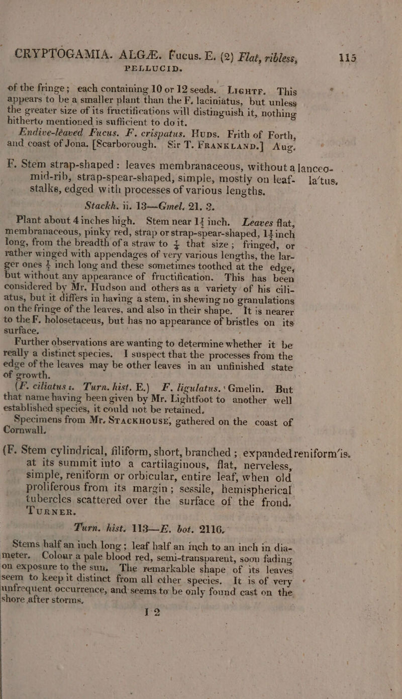 PELLUCID. of the fringe; each containing 10 or 12 seeds. Lientr. This appears to be a smaller plant than the F, laciniatus, but unless the greater size of its fructifications will distmeguish it, nothing hitherto mentioned is sufticient to doit. Endive-léaved Fucus. F. crispatus. Hups. Frith of Forth, and coast of Jona, [Scarborough. Sir T. FRANKLAND.] Aug. stalls, edged with processes of various lengths. Stackk. i. 13—Gmel, 21, 2. Plant about 4inches high. Stem near 1! inch. Leaves flat, membranaceous, pinky red, strap or strap-spear-shaped, liinch long, from the breadth of a straw to ; that size; fringed, or rather winged with appendages of very various lengths, the lar- ger ones 7 inch long and these sometimes toothed at the edge, but without any appearance of fructification. This has been considered by Mr. Hudson and others as a variety of his cili- atus, but it differs in having a stem, in shewing no granulations on the fringe of the leaves, and also in their shape. It is nearer surface. Further observations are wanting to determine whether it be really a distinct species. I suspect that the processes from the of growth. | (F. ciliatus «. Turn. hist. E.) #¥. ligulatus.:Gmelin. But that name having been given by Mr. Lightfoot to another well established species, it could not be retained. , __ Specimens from Mr. Srackuousr, gathered on the coast of Cornwall. at its summit into a cartilaginous, flat, nerveless, simple, reniform or orbicular, entire leaf, when old proliferous from its margin; sessile, hemispherical tubercles scattered over the surface of the frond. TuRNER. Turn. hist: 113—E. bot. 2116. Stems half an inch long; leaf half an inch to an inch in dia- meter. Colour a pale blood red, semi-transparent, soon fading on exposure to the sun. The remarkable shape of its leaves seem to keep it distinct from all other Species. It is of very shore after storms, : he