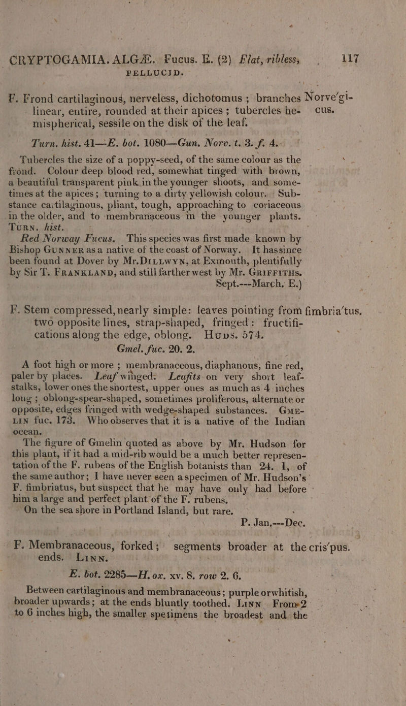 PELLUCID. F. Frond cartilaginous, nerveless, dichotomus ; branches Norve’g!- - linear, entire, rounded at their apices; tubercles he- cus. mispherical, sessile on the disk of the leat. Turn. hist. 41—E. bot. 1080—Gun. Norv. t. 3. f. Au Tubercles the size of a poppy-seed, of the same colour as the Ae frond. Colour deep blood red, somewhat tinged with brown, a beautiful transparent pink inthe younger shoots, and some- times at the apices; turning to a dirty yellowish colour... Sub- stance cartilaginous, pliant, tough, approaching to coriaceous in the older, and to membranaceous in the younger plants. Turn. hist. | | Red Norway Fucus. This species was first made known by Bishop GUNNER asa native of the coast of Norway. It hassince been found at Dover by Mr.Dituwyn, at Exmouth, plentifully by Sir T. FRANKLAND, and still farther west by Mr. GRIFFITHS, Sept.---March, E.) F. Stem compressed, nearly simple: leaves pointing from fimbria’tus. two opposite lines, strap-shaped, fringed: fructifi- cations along the edge, oblong. Huvs. 574. i Gimel. fuc. 20. 2. ; A foot high or more ; membranaceous, diaphanous, fine red, paler by places. Leaf winged. Leafits on very short leaf- stalks, lower ones the shortest, upper ones as muchas 4 inches loug ; oblong-spear-shaped, sometimes proliferous, alternate or opposite, edges fringed with wedge-shaped substances. Gmu- Lin fuc. 173. Who observes that it is a native of the Indian ocean. . The figure of Gmelin quoted as above by Mr. Hudson for this plant, if it had a mid-rib would be a much better represen- tation of the F. rubens of the English botanists than 24. 1, of the sameauthor; I have never seen aspecimen of Mr. Hudson’s’ F. fimbriatus, but suspect that he may have ouly had before : him a large and perfect plant of the F. rubens. On the sea shore in Portland Island, but rare. P. Jan.---Dec. F. Membranaceous, forked; segments broader at the cris pus. ends. Linn. ; E. bot. 2285—H. ox. xv. 8. row 2. 6. Between cartilaginous and membranaceous; purpleorwhitish, broader upwards; at the ends bluntly toothed. Linn. Frome2 to 6 inches high, the smaller spesimens the broadest and. the *