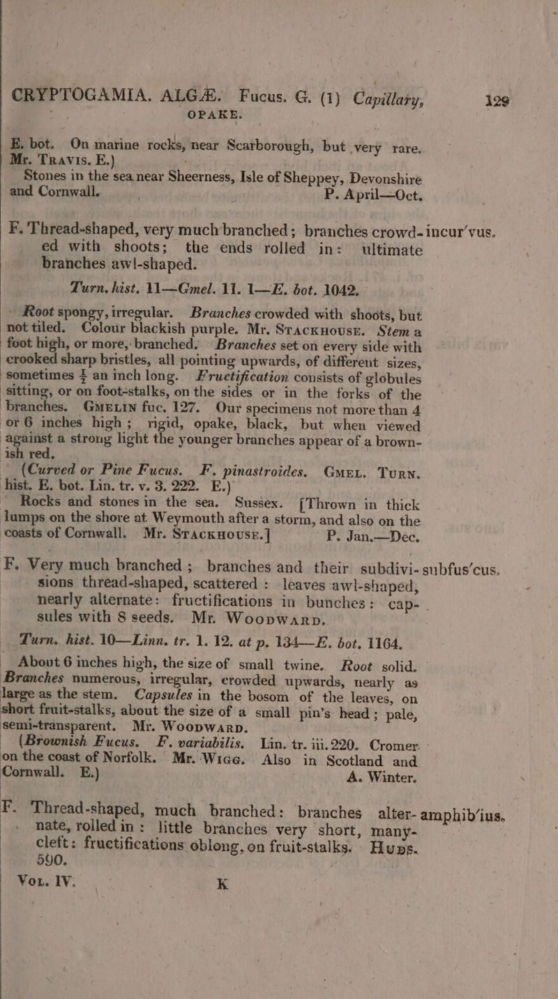 OPAKE. _E. bot. On marine rocks, near Scarborough, but .very rare. Mr. Travis. E.) ny | Stones in the sea, near Sheerness, Isle of Sheppey, Devonshire and Cornwall. | * P. April—Oct. ed with shoots; the ends rolled in: ultimate branches awl-shaped. Turn. hist. 11—Gmel. 11. 1—E. bot. 1042, Root spongy, irregular. Branches crowded with shoots, but not tiled. Colour blackish purple. Mr. Srackuouse. Stem a foot high, or more,:branched. Branches set on every side with crooked sharp bristles, all pointing upwards, of different sizes, sometimes } aninchlong. Fructification consists of globules sitting, or on foot-stalks, on the sides or in the forks of the branches. GmeE.tn fuc. 127. Our specimens not more than 4 or 6 imches high; rigid, opake, black, but when viewed against a strong light the younger branches appear of a brown- ish red, (Curved or Pine Fucus. F. pinastroides. Gme.. Turn. hist. E. bot. Lin. tr. v. 3. 222. E.) _ Rocks and stones in the sea. Sussex. [Thrown in thick Jumps on the shore at Weymouth after a storm, and also on the coasts of Cornwall. Mr. Stackuovsr.] P. Jan.—Dec. sions thread-shaped, scattered : leaves awl-shaped, sules with 8 seeds. Mr. Woopwarp.. Turn. hist. 1—Linn. tr. 1. 12. at p. 134—E. bot. 1164. Branches numerous, irregular, crowded upwards, nearly as large as the stem. Capsules in the bosom of the leaves, on short fruit-stalks, about the size of a small pin’s head ; pale, semi-transparent. Mr. Woopwarp. on the coast of Norfolk. Mr.-Wiage. Also in Scotland and Cornwall. E.) A. Winter. F. Thread-shaped, much branched: branches alter- nate, rolledin: little branches very short, many- cleft: fructifications oblong, on fruit-stalks. - Hugs. 590. : Vou. IV. K amphib‘ius.