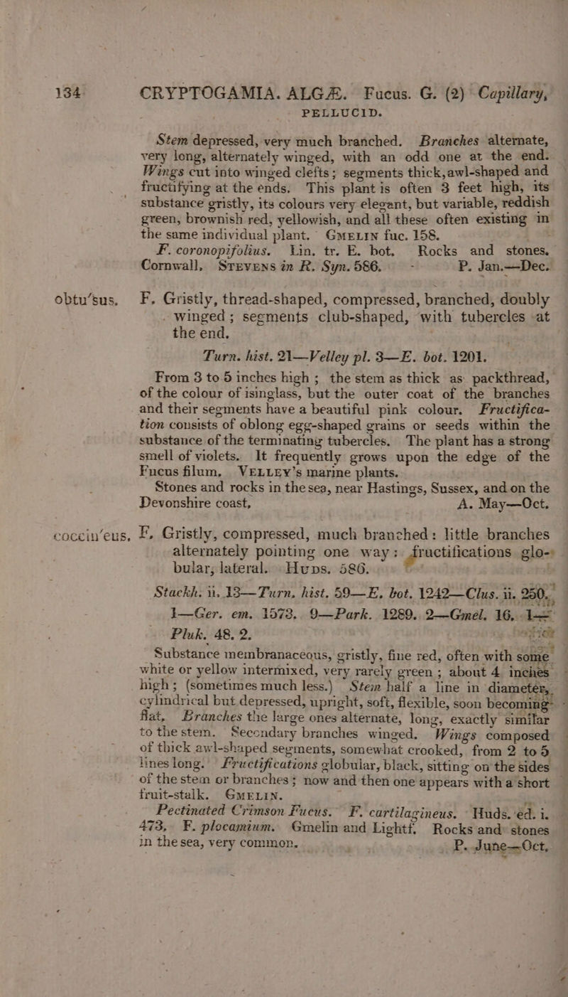 obtu’sus. Coccil’€Us, PELLUCID. Stem depressed, very much branched. Branches alternate, very long, alternately winged, with an odd one at the end. Wings cut into winged clefts; segments thick,awl-shaped and fructifymg at the ends. This plant is often 3 feet high, its substance gristly, its colours very elecant, but variable, reddish green, brownish red, yellowish, and all these often existing m the same individual plant. Gein fuc. 158. F. coronopifolius. Lin, tr. E. bot. Rocks and_ stones. Cornwall, Srevens in R. Syn. 586. - P. Jan.—Dec. F, Gristly, thread-shaped, compressed, branched, doubly - Winged ; segments club-shaped, with tubercles at the end. 7 Turn. hist. 21—Velley pl. 3—E. bot. 1201. From 3 to.5 inches high ;_ the stem as thick as. packthread, of the colour of isinglass, but the outer coat of the branches ’ tion consists of oblong egg-shaped grains or seeds within the substance of the terminating tubercles. The plant has a strong smell of violets. It frequently grows upon the edge of the Fneus filum, VELLEY’s marine plants. Stones and rocks in thesea, near Hastings, Sussex, and on the Devonshire coast, A. May—Oct. F, Gristly, compressed, much branched: little branches alternately pointing one way: dructilications glo- bular, lateral. Huns. 586. ori Stackh. ii. 33—Turn, hist, 59—E, bot, 1242—Clus. ii. 250. }—Ger. em. 1573.. 9—Park. 1289.. 2—Gmel. 16, 1 Pluk. 48. 2. ¥en Substance membranaceous, gristly, fine red, often with some. white or yellow intermixed, very rarely green ; about 4 inches. high; (sometimes much less.) _Stei half a line in diameter, cylindrical but depressed, upright, soft, flexible, soon becoming : fiat, Branches the large ones alternate, long, exactly similar to the stem. Secondary branches winged. Wings composed of thick awl-shaped segments, somewhat crooked, from 2 tod lineslong. #ructifications elobular, black, sitting on the sides oi the stem or branches; now and then one appears witha short — fruit-stalk. GMELIN. ip Pectinated Crimson Fucus. F. cartilagineus. Huds. ed. i. 73, F. plocamium. Gmelin and Lightf. Rocks and» stones in the sea, very common. _ P. June—Oct,