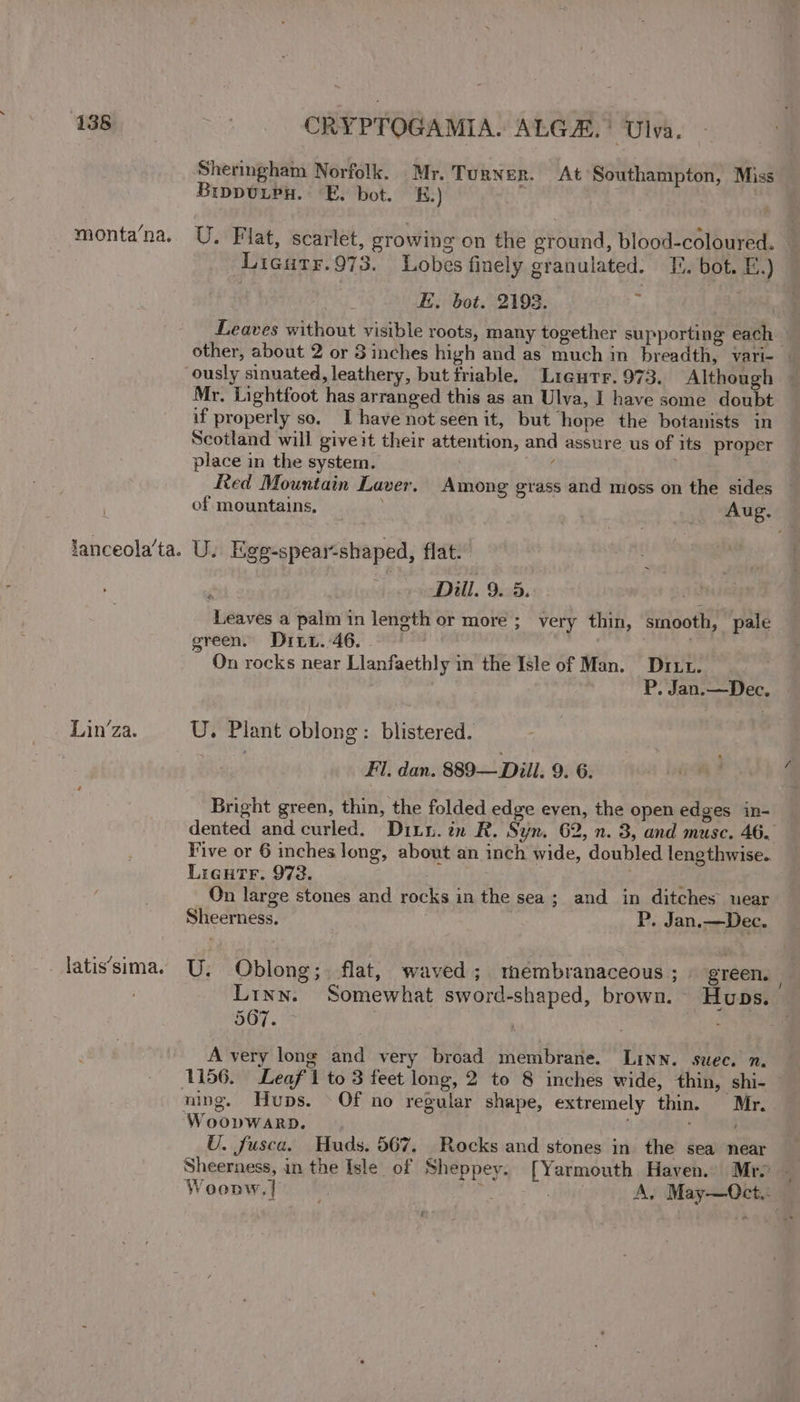 monta‘na. Lin’za. _ latis’sima. CRYPTOGAMIA. ALG.’ Ulva. Sheringham Norfolk. Mr. Turner. At Southampton, Miss BrppuuPu. E. bot. £.) | ey ? Licutr.973. Lobes finely granulated. . bot. E..) dE. bot. 2193. ¥ Leaves without visible roots, many together supporting each Mr. Lightfoot has arranged this as an Ulva, I have some doubt if properly so, I have not seen it, but hope the botanists in Scotland will give it their attention, and assure us of its’ proper place in the system. ee U. Egg-spear-shaped, flat.” Dill. 9. 5. ai Leaves a palm in length or more ; very thin, sinooth, pale green, Di. 46. . . | . On rocks near Llanfaethly in the Isle of Man. Dit. P. Jan.—Dec. U. Plant oblong: blistered. | Fl. dan. 889— Dill. 9. 6. Bright green, thin, the folded edge even, the open edges in- Five or 6 inches long, about an inch wide, doubled lengthwise. LiguTr. 972. . ; On large stones and rocks in the sea; and in ditches uear Sheerness, P. Jan.—Dec. U. Oblong;. flat, waved; tmembranaceous ; \ green. 567. — A very long and very broad membrane. Linn. swec. n. ning. Hups. Of no regular shape, extremely thin. Mr. WoopWaARD. U. fusca. Huds. 567. Rocks and stones in the sea near Woonw. |} A. May—Oct.: /