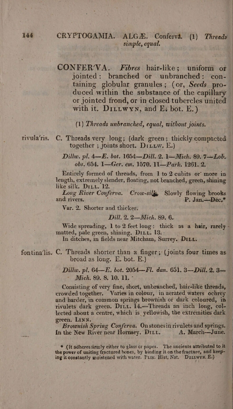 rivia ris. fon tina’lis- simple, equal. jointed: branched or unbranched: con- duced within the substance of the capillary or jointed trond, or in closed tubercles united with it. Dittwywn, and E} bot. E.) (1) Threads unbranched, equal, without joints. together ; joints short. Diuuw. E.) Dillw. pl. 4—E. bot. 1654—Dill..2. 1—Mich. 89. 7~Lob. obs. 654. 1—Ger. em. 1570. 11—Park. 1261. 2. Entirely formed of threads, from 1 to 2 cubits or’ more in length, extremely slender, floating, not branched, green, shining hike silk. Dixw. 12. HP: Long River Conferva. Crow-sily Slowly flowing brooks Var. 2. Shorter and thicker. : Dill. 2. 2—Mich. 89. 6. matted, pale green, shining. Dri. 13. - In ditches, in fields near Mitcham, Surrey. Dix. C. Threads shorter than a finger; (joints four times as: broad as long. E. bot. E.) Dillw. pl. 64—E. bot. 2054—Fl. dan. 651. 3—Diil. 2, 3— Mich. 89. 8. 10. 11. ° Consisting of very fine, short, unbranched, hair-like threads, crowded together. Varies in colour, in aerated waters ochréy and harder, in common springs brownish or dark coloured, in rivulets dark green. Dit. 14.—Threads an inch long, col- green. LINN. In the New River neat Hornsey. Drit. A. March—June. * (It adheres firmly either to glass or paper. The ancients attributed to it the power of uniting fractured bones, by binding it on the fracture, and keep- ing it constantly moistened with water, Prin. Hist, Nat. Disnwyn, E-)