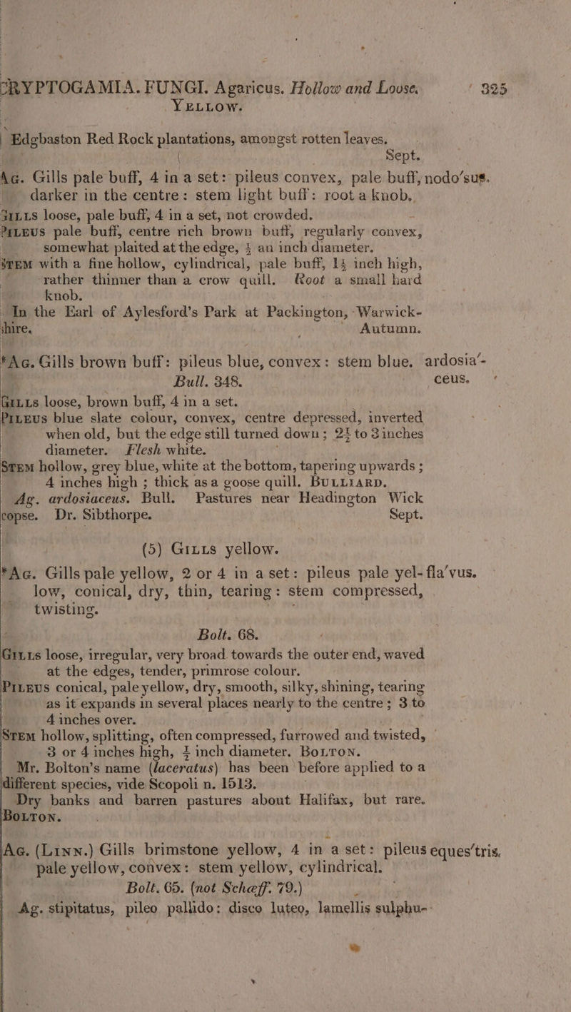 YELLOow. ; “Edgbaston Red Rock plantations, amongst rotten leaves, Sept. Ag. Gills pale buff, 4 in a set: pileus convex, pale buff, nodo’ gus. _ darker in the centre: stem light buff: root a knob. SUL LS loose, pale buff, 4 in a set, not crowded. s PrLEUS pale buff, centre rich brown buff, regularly convex, somewhat plaited at the edge, £ an ‘itch’ diameter: iTEM with a fine hollow, cylindrical, pale buff, 14 inch high, ‘rather thinner than a crow quill. Q@oot a small hard = knob. ‘In the Earl of Aylesford’s Park at Packington, -Warwick- hire, : ~ Autumn. FAG. Gills brown buff: pileus blue, convex: stem blue. ardosia’- : Bull, 348. | CeuUs. GrLis loose, brown buff, 4 in a set. Piteus blue slate colour, convex, centre depressed, inverted when old, but the edge still turned down; 21 to 3inches diameter. Flesh white, Stem hollow, grey blue, white at the bottom, tapering upwards ; 4 inches high ; thick asa goose quill. BULLIARD. Ag. ardosiaceus. Bull. Pastures near Headington Wick copse. Dr. Sibthorpe. Sept. (5) Giuxs yellow. *Ac. Gills pale yellow, 2 or 4 in a set: pileus pale yel-fla’vus. low, conical, dry, thin, tearing: stem compressed, twisting. Bolt. 68. Grits loose, irregular, very broad. towards the outer end, waved at the edges, tender, primrose colour. PILEUS conical, pale yellow, dry, smooth, silky, shining, tearing as it expands 1 in several places nearly to the centre; 3 to 4 inches over. Stem hollow, splitting, often Eoin presen furrowed and twisted, 3 or 4 inches high, 4 inch diameter. BoLron. Mr. Boiton’s name (lacer ‘atus) has been before applied to a different species, vide Scopoli n. 1513. Dry banks and barren pastures about Halifax, but rare. Bouron. Ag. (Linn.) Gills brimstone yellow, 4 in a set: pileus eques’tris. pale yellow, convex: stem yellow, cylindrical. Bolt. 65. (not Scheff. 79.) “ Ag. aaah Buse pallido: disco luteo, lamellis ralabie +e