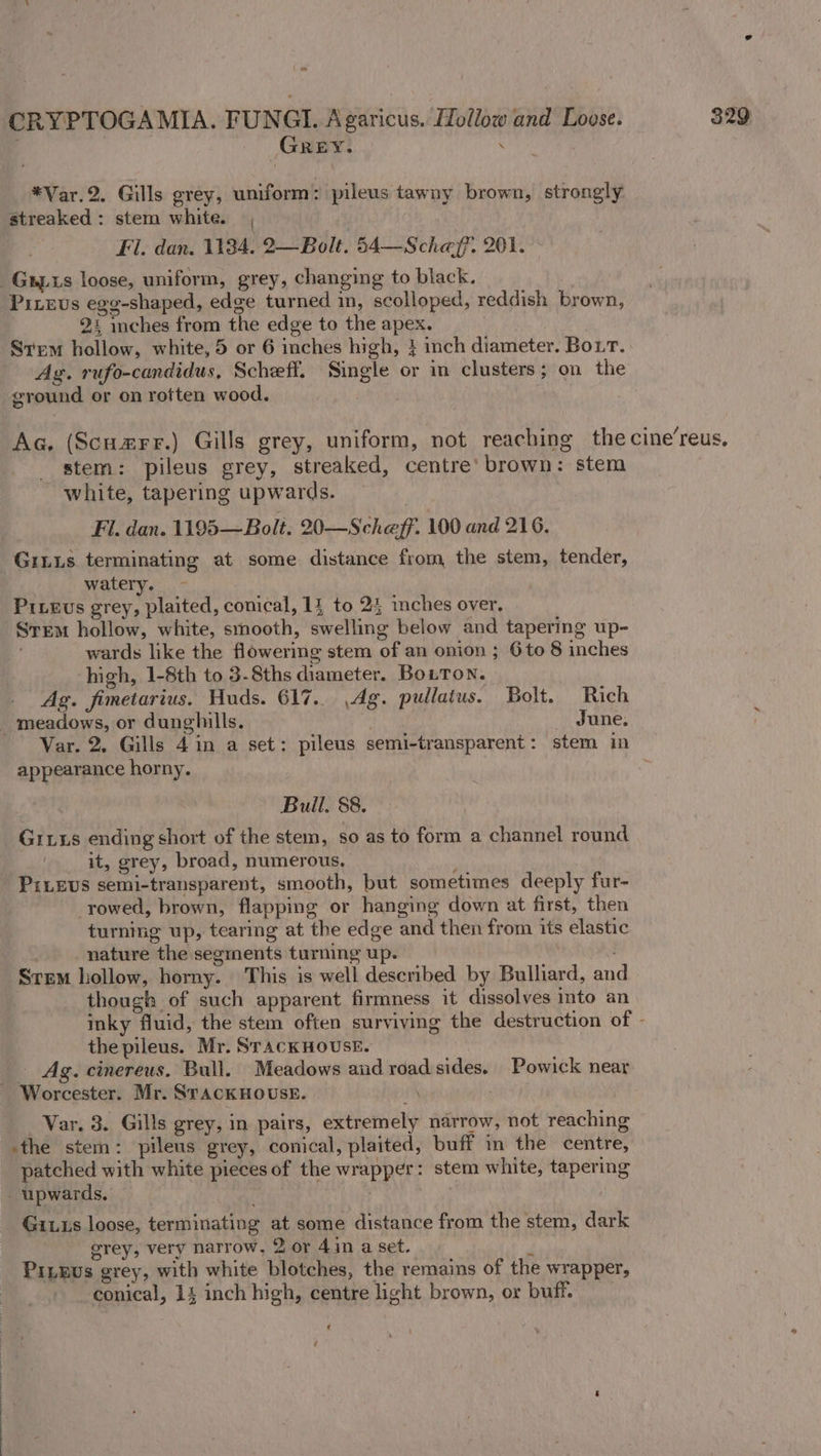 GREY. . *Var.2. Gills grey, uniform: pileus tawny brown, strongly streaked: stem white. | | Fi. dan. 1184. 2—Bolt. 54—Scheff. 201. -Gxpis loose, uniform, grey, changing to black. Pitevs egg-shaped, edge turned in, scolloped, reddish brown, 2* inches from the edge to the apex. Ag. rufo-candidus, Scheff. Single or in clusters; on the ground or on rotten wood, stem: pileus grey, streaked, centre’ brown: stem white, tapering upwards. Fi. dan. 1195—Bolt. 20—Scheff. 100 and 216. Giiis terminating at some distance from the stem, tender, watery. Prxevs grey, plaited, conical, 11 to 25 inches over, Stem hollow, white, smooth, swelling below and tapering up- wards like the flowering stem of an onion ; 6to 8 inches high, 1-8th to 3-8ths diameter. Botton. Ag. fimetarius. Huds. 617.. Ag. pullatus. Bolt. Rich _ meadows, or dunghills. June, Var. 2. Gills 4 in a set: pileus semi-transparent: stem in appearance horny. Bull. 88. Grius ending short of the stem, so as to form a channel round it, grey, broad, numerous. PiLEvs semi-transparent, smooth, but sometimes deeply fur- rowed, brown, flapping or hanging down at first, then turning up, tearing at the edge and then from its elastic nature the segments turning up. ; Srem hollow, horny. This is well described by Bulliard, and though of such apparent firmness it dissolves into an the pileus. Mr. SrackHOUSE. Ag. cinereus. Bull. Meadows and road sides. Powick near Worcester. Mr. STACKHOUSE. \ Var, 3. Gills grey, in pairs, extremely narrow, not reaching -the stem: pilens grey, conical, plaited, buff in the centre, patched with white pieces of the wrapper: stem white, tapering - upwards. : Gis loose, terminating at some distance from the stem, dark grey, very narrow, 2 or 4in a set. i PILEUs grey, with white blotches, the remains of the wrapper, conical, 14 inch high, centre light brown, or buff. __ ¢