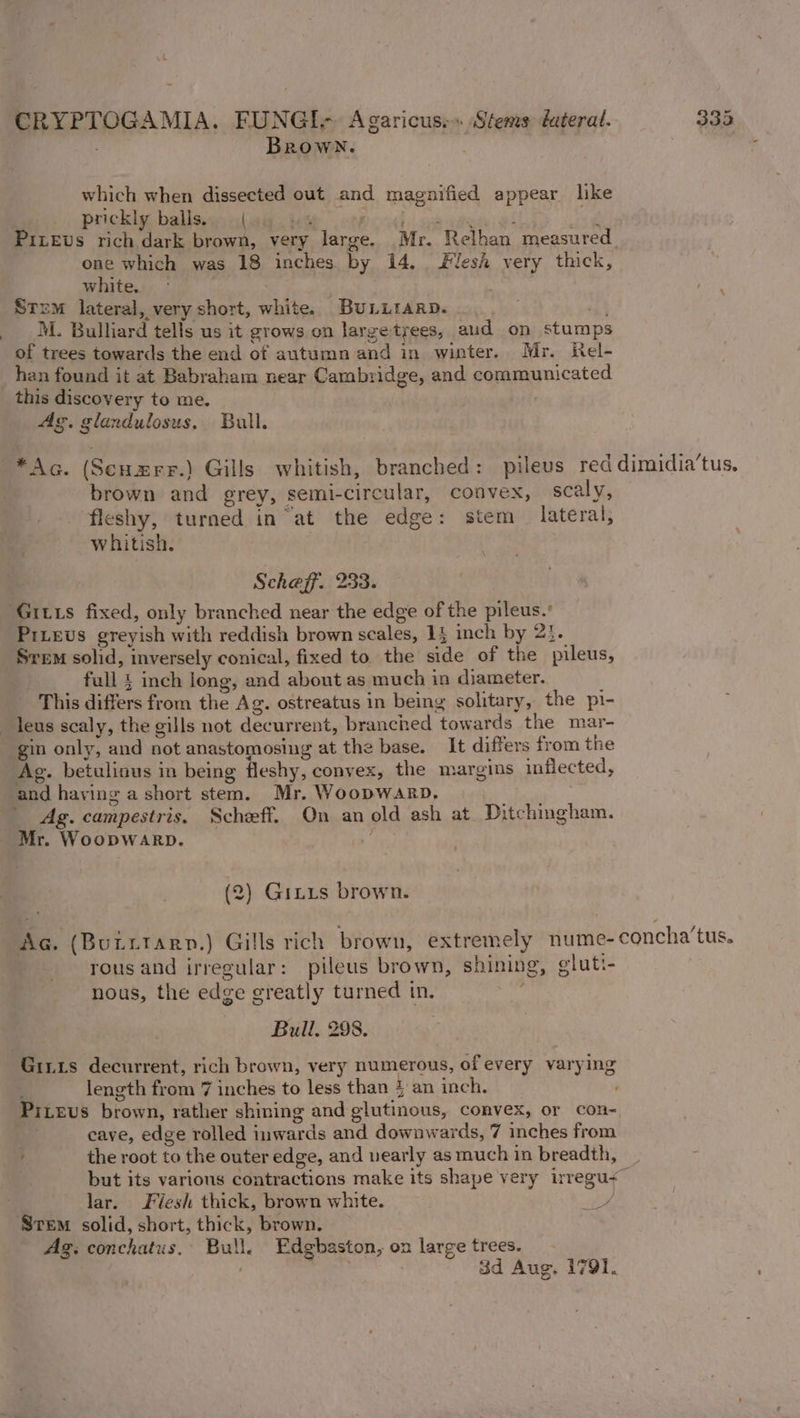 Brown. which when dissected out and magnified appear like | prickly balls... (44 ++ Beedle ate i ae PILEvs rich dark brown, very large. Mr. Relhan measured one which was 18 inches by 14. lesh very thick, white. . Stem lateral, very short, white. BULLIARD. . M. Bullard tells us it grows on large tyees, aud on stumps of trees towards the end of autumn and in winter. Mr. Rel- han found it at Babraham near Cambridge, and communicated this discovery to me, Ag. glandulosus. Bull. *Ag. (Senzrr.) Gills whitish, branched: pileus red dimidia’tus. brown and grey, semi-circular, convex, scaly, fleshy, turned in “at the edge: stem _ lateral, whitish. Scheff. 233. ‘Gitts fixed, only branched near the edge of the pileus.’ PrLEevs greyish with reddish brown scales, 14 inch by 21. Srem solid, inversely conical, fixed to the side of the pileus, full £ inch long, and about as much in diameter. This differs from the Ag. ostreatus in being solitary, the pi- leus scaly, the gills not decurrent, branched towards the mar- gin only, and not anastomosing at the base. It differs from the Ag. betulinous in being fleshy, convex, the margins inflected, and haying a short stem. Mr. WoopWARD, | | Ag. campestris. Scheff. On an old ash at. Ditchingham. Mr. Woopwarp. i (2) Gitxs brown. é . . e oi , Ac. (BuLttarn.) Gills rich brown, extremely nume-concha’tus. rous and irregular: pileus brown, shining, gluti- nous, the edge greatly turned in. Bull. 298. Gints decurrent, rich brown, very numerous, of every varying length from 7 inches to less than }an inch. Pitevs brown, rather shining and glutinous, convex, or con- cave, edge rolled inwards and downwards, 7 inches from ; the root to the outer edge, and vearly as much in breadth, but its various contractions make its shape very irregu&lt; lar. Flesh thick, brown white. Po Svrem solid, short, thick, brown. Ag. conchatus. Bull, Edgbaston, on large trees. ‘ 3d Aug. 1791.