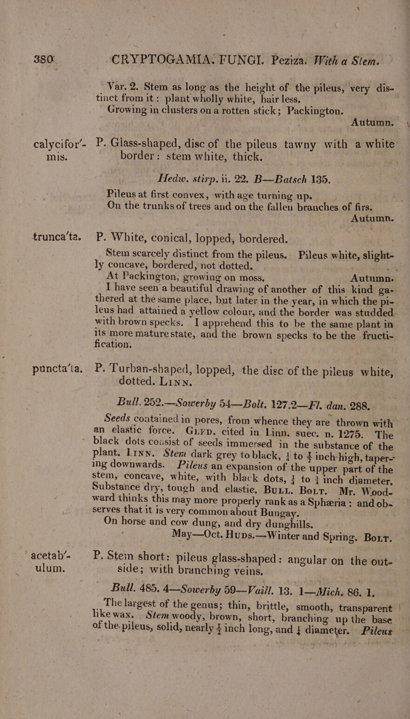 calycifor’- mis. trunca’ta. Var. 2. Stem as lone as the height of the pileus, very dis- tinct from it: plant wholly white, hairless. _ Growing in clusters on a rotten stick; Packington. P. Glass-shaped, disc of the pileus tawny with a white border: stem white, thick. ~ Hedw. stirp. ii. 22. B—Batsch 135. Pileus at first convex, with age turning up. On the trunks of trees and on the fallen branches of firs. Autumn. P. White, conical, lopped, bordered. Stem scarcely distinct from the pileus. Pileus white, slight- ly concave, bordered, not dotted, | 4 At Packington, growing on moss, _ Autumn. I have seen a beautiful drawing of another of this kind ga- thered at the same place, but later in the year, in which the pl- leus had attained a yellow colour, and the border was studded. with brown specks. I apprehend this to be the same plant in its more mature state, and the brown specks to be the fructi- fication. P. Tu rban-shaped, lopped, the disc of the pileus white, dotted. Linn, : | Bull. 252.—Sowerby 54—Bolt. 127.2—Fl. dan. 288. Seeds contained in pores, from whence they are thrown with’ an elastic force. Guirp. cited in Linn. suec. n. 1275. The ‘ acetab’- ulum. plant. Linn. Stem dark grey to black, 1 to + inchvhigh, taper- ing downwards. Pileus an expansion of the upper part of the stem, concave, white, with black dots, i to }inch diameter, Substance dry, tough and elastie, Butt. Bor. Mr. Wood- ward thinks this may more properly rankasaSpheria: andob- serves that it is very common about Bungay. | HN On horse and cow dung, and dry dunghills. May—Oct. Hups.—Winter and Spring. Bort. P. Stem short: pileus glass-shaped : angular on the out- side; with branching veins. Bull. 485, 4—Sowerby 59-—Vaill. 13. 1—-Mich. 86.1. The largest of the genus; thin, brittle, smooth, transparent likewax. Stem woody, brown, short, branching up the base of the. pileus, solid, nearly finch long, and } diameter. Pileus —