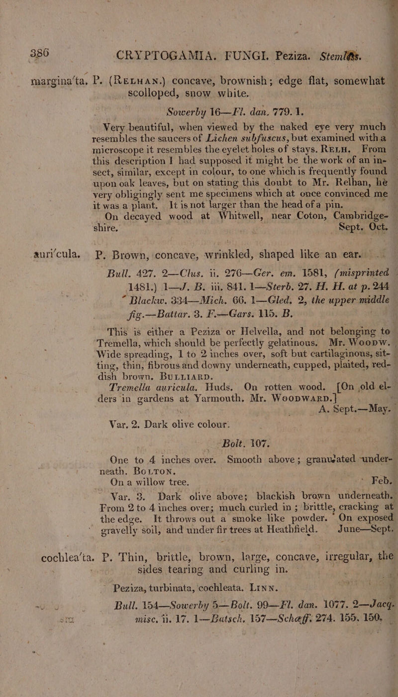 suri cula, scolloped, snow white. Sowerby 16—Fi. dan. 779.1. ope resembles the saucers of Lichen subfuscus, but examined with a sect, similar, except in colour, to one which is frequently found upon oak leaves, but on stating this doubt to Mr. Relhan, he it was a plant. It isnot larger than the head ofa pin. On decayed wood at Whitwell, near Coton, Cambridge- shire. Pe Sept. Oct. P. Brown, concave, wrinkled, shaped like an ear... 1481.) 1—J. B. it, 841. 1—Sterb. 27. H. H. at p. 244 “ Blackw. 334—Mich. 66. 1—Gled, 2, the upper middle fig.—Batiar. 3. F.—Gars. 116. B. . ting, thin, fibrousand downy underneath, cupped, plaited, red- dish brown, BULLIARD. ders in gardens at Yarmouth. Mr. Woopwakrp.| Var, 2. Dark olive colour, _ - Bolt. 107. neath. BoLTON. . On a willow tree. &gt; Feb. From 2 to 4 inches over; much curled in ; ‘brittle, cracking at the edge. It throws out a smoke like powder. “ On exposed eravelly soil, and under fir trees at Heathfield. June—Nept. sides tearing and curling in. Peziza, turbinata, cochleata. Linn. Io Bull. 154—Sowerby 5—Bolt. 99—Fl. dan. 1077. 2—Jacq. misc, 1.17. 1—Batsch. 157—Scheg, 274. 199, 150, _