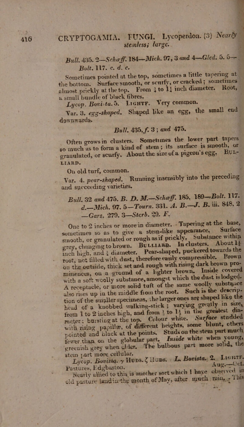 stemless; large.. = ‘ &gt; » és +4 Bolt. 117. c. d.-e. almost prickly atthetop. From 4 to 1! inch diameter. Root, « small bundle of black fibres. Lycop. Bovista.5. LIGHT. Very common. downwards. ; Bull, 435, f. 3 ; and 475. Often grows in clusters. Sometimes the lower part tapers so much as to form a kind of stem ; its surface is smooth, ar LIARD. Ou old turf, common. Var. 4. pear-shaped. Running insensibly into the preceding and succeeding varieties. | Bull. 32. and 473. B. D. M.—Scheff. 189. 189—Bolt. 117. d.—Mich. 97. 5—Tourn. 331. A. B.—J. B. in. 848, 2 —Gars. 279. 3—Sterb. 29. F, sumetimes so as to give a stem-like appearance, ~ Surface smooth, or granulated or rough as if prickly, Substance within grey, changing to brown. Bursary. Inclusters. About LE inch high, and } diameter. Pear-shaped, puckered towards the root, not filled with dust, therefore easily compressible. Brown on the outside, thick set and rough with rising dark brown pro- minences, on a ground of a hghter brown. Inside covered with a soft woolly substance, amongst which the dust islodged. A receptacle, or more solid tuft of the same woolly substqace also rises up in the middle from the root. Such is the descrip- tion of the smaller specimens, ihe larger ones ar¢ shaped hke the head of a knobbed walking-stick ; varying greatly in size, from 1 to 2inches high, and from 4 to 11 in the greatest dia- meter; bursting at the top. Colour whiie. Surface studded with rising papille, of different heights, some blunt, others fewer than on the globular part. Inside white when young, greenish grey when glider. The bulbous part more solid, the stem part more cellular. . Lycop. Bovisia. y Huns. { ons. L. Bovista., 2.. Lie#TF. Pastures, Edgbaston. Aug.—Cct. Nearly allied to this is another sort which I haye observed im old pasture landinthe month of May, after much rain, « {his _ oo