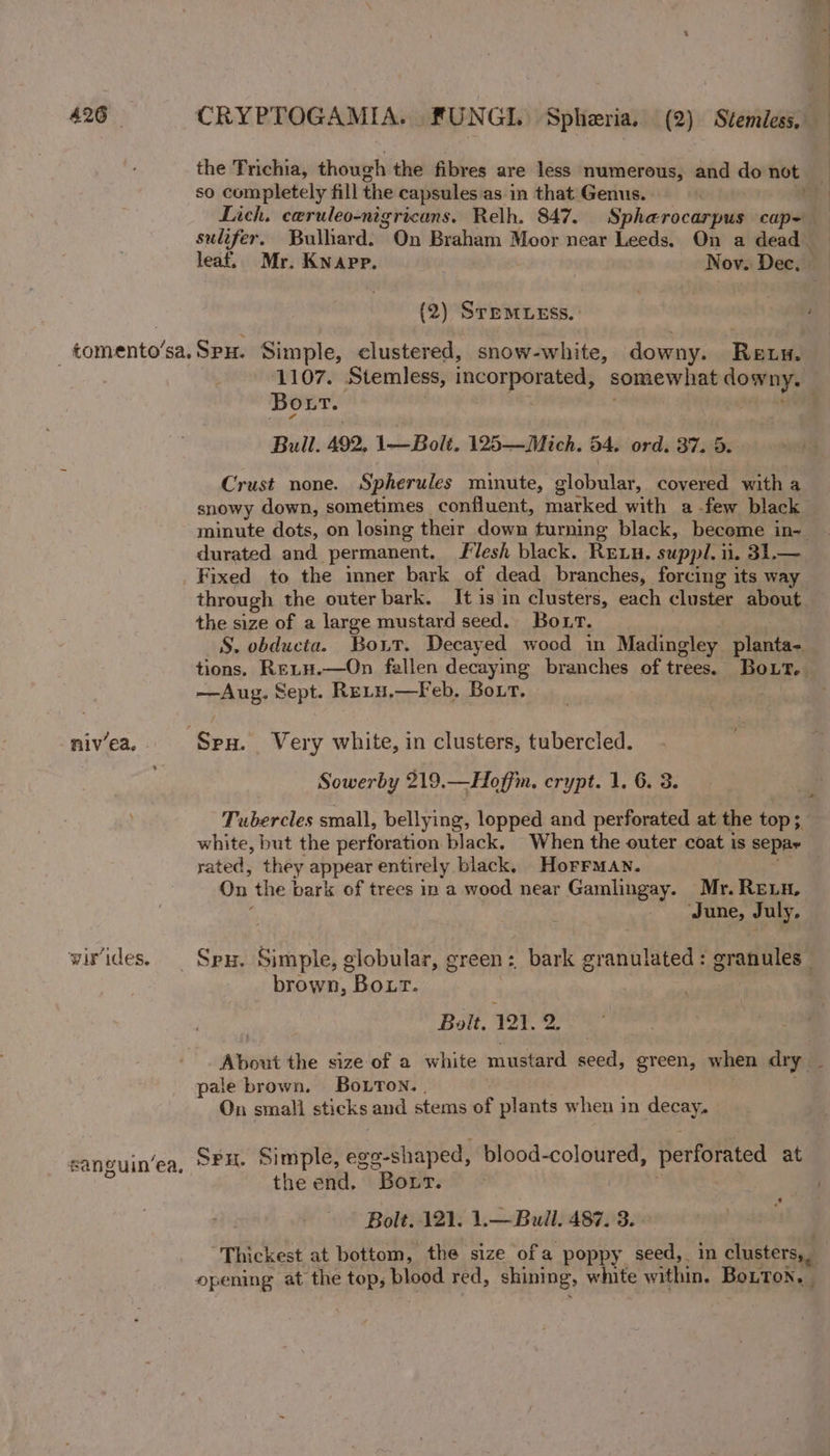 the Trichia, though the fibres are less numerous, and do not so completely fill the capsules as in that Genus. ; Lich. ceruleo-nigricans. Relh. 847. Spharocarpus cap- sulifer. Bulhard. On Braham Moor near Leeds. On a dead_ leaf. Mr. Knapp. Nov. Dec. (2) SreMLEss. : _ tomento’sa. Spx. Simple, clustered, snow-white, downy. Reus. 1107. Stemless, incorporated, somewhat downy, — Bort. re 20 a Bull. 492, 1\— Bolt. 125—Mich. 54. ord. 37. 5. Crust none. Spherules minute, globular, covered with a snowy down, sometimes confluent, marked with a -few black minute dots, on losing their down turning black, beceme in- durated and permanent. Flesh black. REuu. suppl. ii. 31.— Fixed to the immer bark of dead branches, forcing its way through the outer bark. It is in clusters, each cluster about. the size of a large mustard seed. Bout. . S. obducta. Bout. Decayed wood in Madingley planta- — tions. Retu.—On fellen decaying branches of trees. Bout, —Aug. Sept. Reru,—Feb, Bout. nivea.. Spun. Very white, in clusters, tubercled. Sowerby 219.—Hoffim. crypt. 1. 6. 3. Tubercles small, bellying, lopped and perforated at the top; white, but the perforation black. When the outer coat is separ rated, they appear entirely black, Horrman. + On the bark of trees in a wood near Gamlingay. Mr. RELH, ‘June, July. wirides. | Spy. Simple, globular, green: bark granulated: granules — brown, Botr. | . Bolt. 121. 2. About the size of a white mustard seed, green, when dry _ pale brown. Botton. . . On small sticks and stems of plants when in decay, sanguin’ea, Seu. Simple, ege-shaped, blood-coloured, perforated at the end. Bout. 3 | Bolt. 121. 1.— Bull. 487. 3. “Thickest at bottom, the size of a poppy seed,. in clusters, opening at the top, blood red, shining, white within. BoLTon,