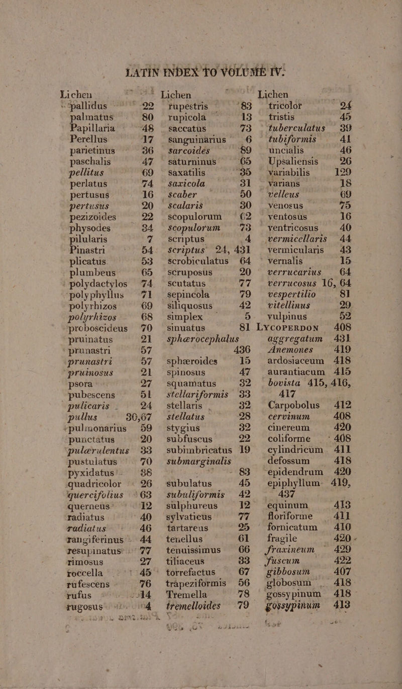 Lichen.” pallidus - 22 palmatus 80 Papillaria “48 Perellus 17 parietinus 36 paschalis 47 pellitus 69 perlatus 74 pertusus 16 pertusus 20 pezizoides 22 _ physodes 34 pilularis 7 Pinastri 54 plicatus 53 plumbeus 65 _polydactylos 74 ‘polyphyllus 71 polyrhizos 69 polyrhizos 68 proboscideus 70 pruinatus 21 prunastri o7 prunastri o7 ‘ pruinosus 21 psora 27 pubescens al pulicaris 24 pullus 30,07 *pulmonarius 59 punctatus 20 pulerulentus 33 pustuiatus 70 pyxidatus'. 86 quadricolor © 26 quercifolius ° 63 querneus 12 radiatus 40 radiatus 46 rangiferinus» 44 resupinatus’ .° 77 Timosus 27 roccella 45 tufescens 76 ‘rufus 514 sugosus 14 tupestris ss 83 rupicola 13 saccatus 73 Sanguinarius 6 sarcowdes 89 saturninus 65 Saxatilis “30 saxicola 3l scaber _ 50 Scalaris 30 scopulorum 62 Scopulorum 73 scriptus 4 Scriptus 24, 431 scrobiculatus 64 scruposus 20 scutatus 77 sepincola 79 siliquosus 42 simplex 5) sinuatus 81 spherocephalus 436 spheeroides 15 spinosus AZ squamatus 32 stellariformis 33 stellaris | x yl stellatus 28 stygius 32 subfuscus 22 subimbricatus 19, submarginalis LVR SS BB subulatus 45 subulijormis 42 sulphureus 12 sylvaticus 77 tartareus 25 tenellus 61 tenuissimus 66 tiliaceus 33 torrefactus 67 trapeziformis 56 Tremella 78 tremelloides 79 Ste gi ~ Lichen © tricolor 24 tristis 45 tuberculatus 39 tubiformis Al uncialis 46 Upsaliensis 26 variabilis 129 -varlans 18 velleus — 69 venosus Yb, ventosus 16 ventricosus 40 wermicellaris 44 vermicularis 43 vernalis 15 verrucarius 64 verrucosus 16, 64 vespertilio 81 vitellinus 29 - vulpinus a2 Lycorperpon 408 aggregatum 431 Anemones 419 ardosiaceum 418 aurantiacum 415 bovista 415, 416, 417 Sa Carpobolus 412 cervinum 408 cinereum 420 coliforme 408 cylindricum. 411 defossum 418 -epidendrum 420 epiphyllum- 419, 437 equinum 413 floriforme Al] fornicatum 416 fragile AZO « Sraxineum 429 Suscum 422 gibbosum 407 globosum _ 418 ‘gossypinum 418 gossypinum 418