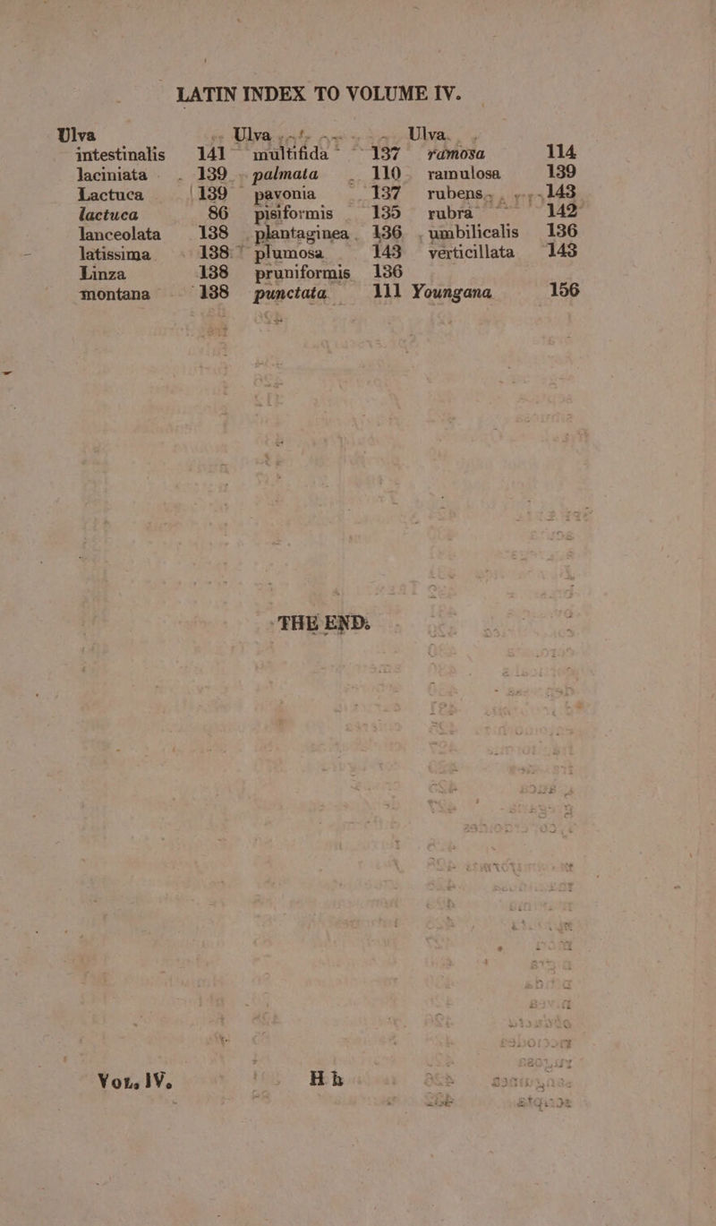 Ulva intestinalis laciniata » Lactuca lactuca lanceolata latissima Linza montana Vous iV. multifida ~ palmata — eS . pisiformis pruniformis punciata Hh ~ Ulva. 110. ramulosa 135 rubra 136, . umbilicalis 143 _~ verticillata 136 lll Youngana 114 139 142° 136 143 156