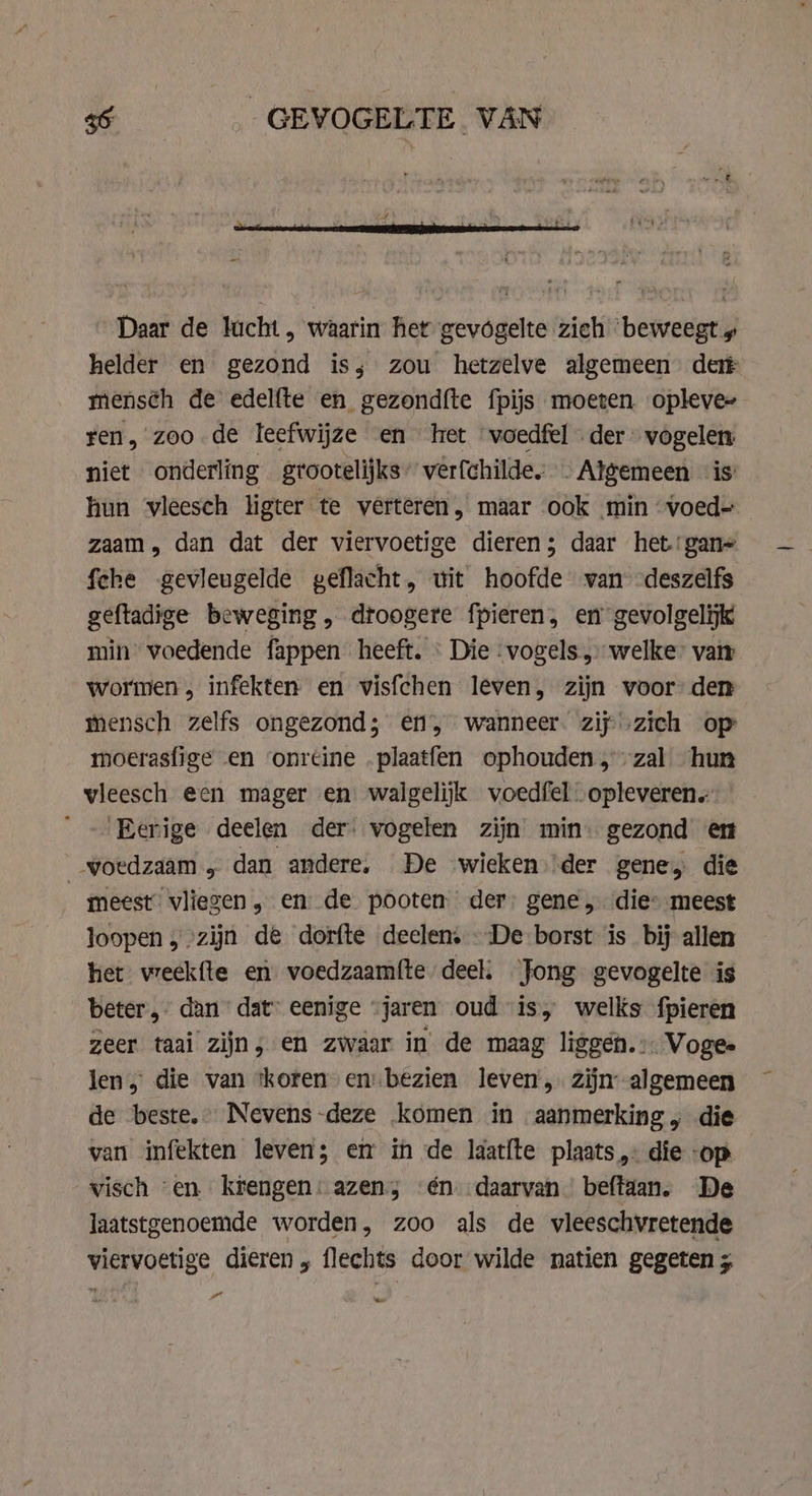 La Daar de lucht, waarin het gevogelte zich ‘beweegt „ helder en gezond is; zou hetzelve algemeen det mensch de edelfte en gezondfte fpijs moeten. opleve- ren, zoo de leefwijze en het voedfel der „vogelen niet onderling grootelijks” verfchilde. . Algemeen is hun vleesch ligter te verteren, maar ook min voed- zaam, dan dat der viervoetige dieren; daar het‘ gan~ fche gevleugelde geflacht, wit hoofde wan -deszelfs geftadige beweging, droogere fpieren, en gevolgelijk min woedende fappen heeft. © Die vogels „ welke” vai» wormen, infekten en visfchen leven, zijn voor den mensch zelfs ongezond; ef, wanneer. zij zich op moerasfige en ‘onreine . plaatfen ophouden, zal hun vleesch een mager en walgelijk voedfel opleveren ' -'Eerige deelen der. vogelen zijn min. gezond en _woedzaam „ dan andere. De wieken ‘der gene, die meest vliegen „ en de pooten der: gene, die» meest loopen; zijn de dorfte deelen, De borst is bij allen het weekfte en voedzaamfte deel, Jong gevogelte is beter, dan dat: eenige “jaren oud is, welks fpieren zeer taai zijn, en zwaar in de maag liggen. Voges jen, die van ‘koren en bezien leven, zijn--algemeen de beste. Nevens-deze komen in aanmerking ; die van infekten leven; em in de laat{te plaats, die op visch ‘en. krengen: azen; én. daarvan beftaan. De laatstgenoemde worden, zoo als de vleeschvretende viervoetige dieren, flechts door wilde natien gegeten 5 a ee