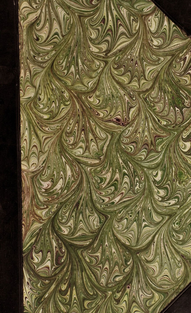 digitised image 1