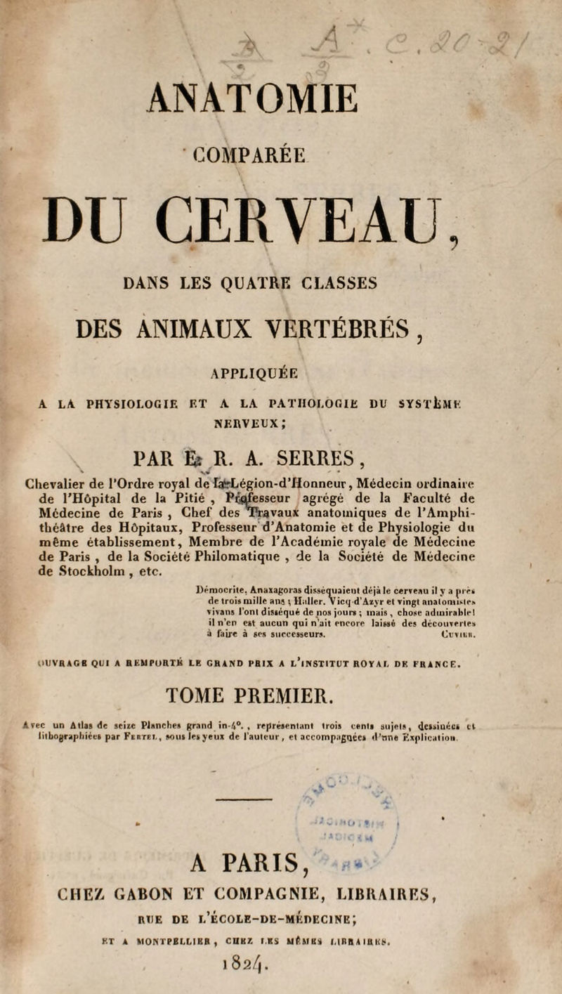 ANATOMIE COMPARÉE DU CERVEAU, DANS LES QUATRE CLASSES DES ANIMAUX VERTÉBRÉS , APPLIQUÉE A LA PHYSIOLOGIE ET A LA PATHOLOGIE DU SYSTÈME nerveux; PAR &amp; R. A. SERRES , Chevalier de l’Ordre royal de laSrLégion-d’Honneur, Médecin ordinaire de l’Hôpital de la Pitié , Professeur agrégé de la Faculté de Médecine de Paris , Chef des Travaux anatomiques de l’Amphi¬ théâtre des Hôpitaux, Professeur d’Anatomie et de Physiologie du même établissement, Membre de l’Académie royale de Médecine de Paris , de la Société Philomatique , de la Société de Médecine de Stockholm , etc. Déniocrite. Anaxagoras disséquaient déjà le cerveau i! y a près de trois mille ans \ Haller. Vicq d’Azyr et vingt anatomiste* vivans l’ont disséqué de nos jours ; mais , chose admirable! il n’cn est aucun qui n’ait encore laissé des découvertes à faire à ses successeurs. Cuvant. OUVRAGE QUI A RKMPDRTK LE GRAND PRIX A t’iNSTITUT ROYAL DK FRANCE. TOME PREMIER. Avec un Atlas de seize Planche# grand in-4°. , représentant trois cents sujets, dessinées et lithographiées par Fedtel, sous le»yeux de l’auteur, et accompagnée» d’tmt Explication. ► J*0iHOi9w j , -1 * OIC i M j A PARIS, CHEZ GABON ET COMPAGNIE, LIBRAIRES, RUE de l’école-de-médecine; RT A MON I PBLLIKR , C1IKZ LES utu(> I.IRRA IRKS,