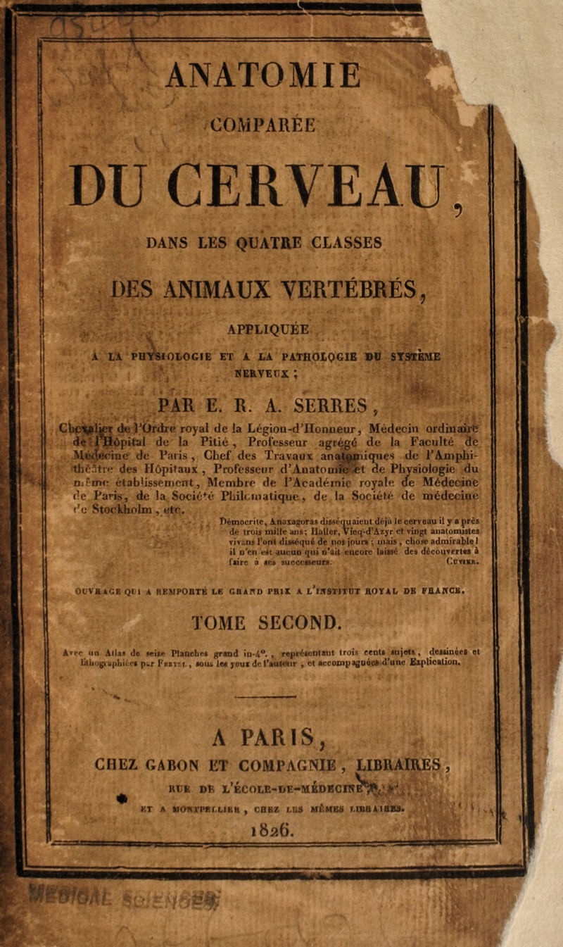 COMPAREE DU CERVEAU DANS LES QUATRE CLASSES DES ANIMAUX VERTÉBRÉS APPLIQUÉE A t'A PHYSIOLOGIE ET A LA PATHOLOGIE DH SYSTEME HE&VEtTX ; PAR E. R. A. SERRES , Cbp'vdkr île l’Ordre royal de la Légion-d’Honneur, Médecin ordinaire de PHôpital de la Pilié , Professeur agrégé de la Faculté de Médecine de Paris, Chef des Travaux anatomiques de l’Amplii- théStre des Hôpitaux , Professeur d’Auatomi'eïet de Physiologie du mf-mo. établissement, Membre de l’Académie royale de Médecine de Paris, de la Société Philomatique, de la Société de médecine ('e Stockholm , etc. Démoerite, Anaxagoras disséouaieut déjà le cerveau il y a près de trois mille ans; Ilallcr, Vicq-d’Azyr et vingt anatomistes vivons l’ont disséqué de nos jours ; mais, chose admirable! il n’en est aucun qui n'ail encore laissé des découvertes à faire à scs successeurs. Cuviir. OUVRAGE QUI A REMPORTÉ UE GRAND PRIX A l’mSTJTOT ROYAL DK FRANGE. TOME SECOND. Avec un Allai de seize Planches grand iu-4°. , représentant trois cents sujets , dessinées et lithographiées pur Fbbtm. , souu les yeux de fauteur , et accompagnées d’une Explication. A PARIS, CHEZ GABON UT COMPAGNIE , LIBRAIRES , RLE DE L’ÉCOLE-DE-MiDKCrN^ec; j)-J ,