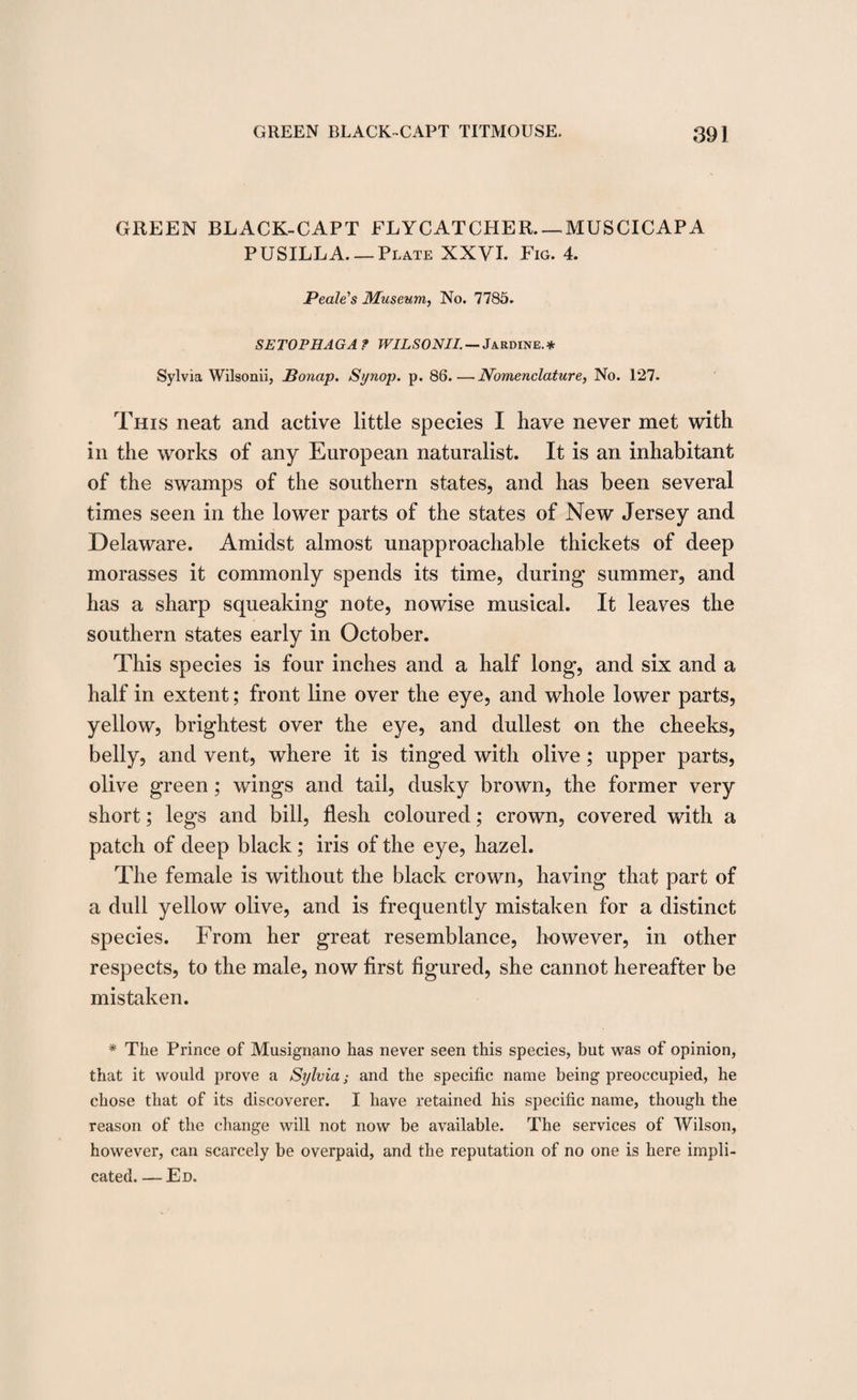 GREEN BLACK-CAPT FLYCATCHER—MUSCICAPA PUSILLA. —Plate XXVI. Fig. 4. Peak's Museum, No. 7785. SETOPHAGA? WILSONII.—Jardine.* Sylvia Wilsonii, Bonap. Synop. p. 86.—Nomenclature, No. 127. This neat and active little species I have never met with in the works of any European naturalist. It is an inhabitant of the swamps of the southern states, and has been several times seen in the lower parts of the states of New Jersey and Delaware. Amidst almost unapproachable thickets of deep morasses it commonly spends its time, during summer, and has a sharp squeaking note, nowise musical. It leaves the southern states early in October. This species is four inches and a half long, and six and a half in extent; front line over the eye, and whole lower parts, yellow, brightest over the eye, and dullest on the cheeks, belly, and vent, where it is tinged with olive; upper parts, olive green; wings and tail, dusky brown, the former very short; legs and bill, flesh coloured; crown, covered with a patch of deep black; iris of the eye, hazel. The female is without the black crown, having that part of a dull yellow olive, and is frequently mistaken for a distinct species. From her great resemblance, however, in other respects, to the male, now first figured, she cannot hereafter be mistaken. * The Prince of Musignano has never seen this species, but was of opinion, that it would prove a Sylvia; and the specific name being preoccupied, he chose that of its discoverer. I have retained his specific name, though the reason of the change will not now be available. The services of Wilson, however, can scarcely be overpaid, and the reputation of no one is here impli¬ cated_Ed.