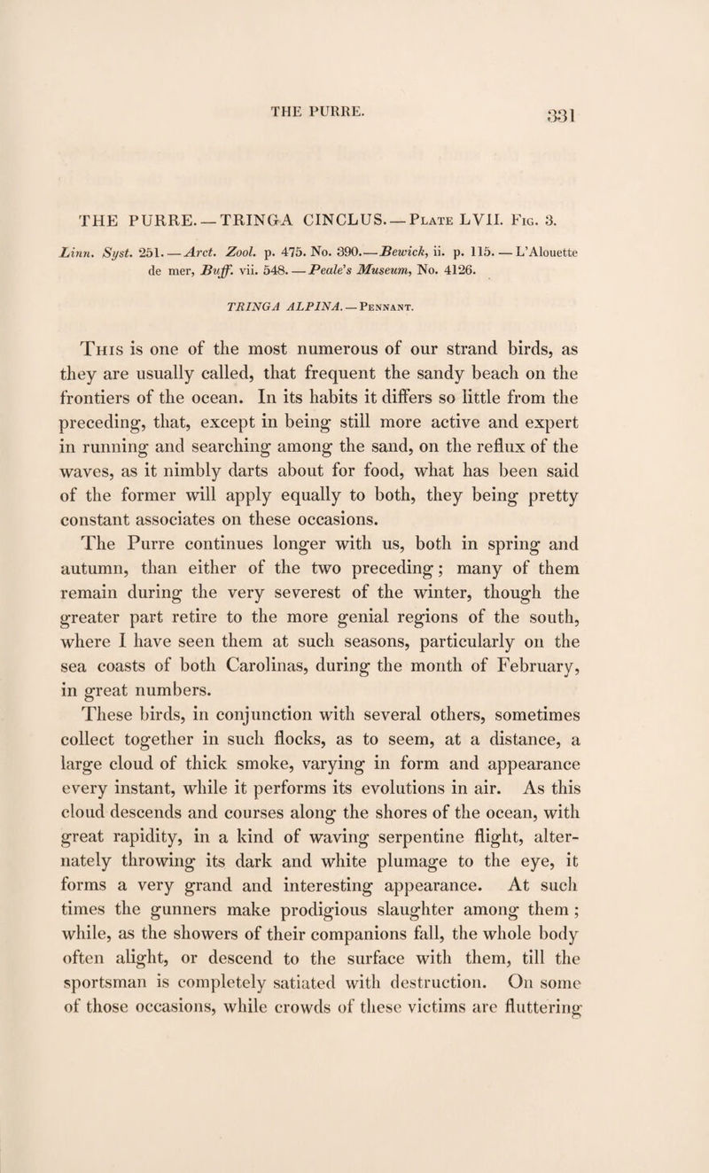 THE PURRE. —TRINGA CINCLUS—Plate LVII. Fig. 3. Linn. Syst. 251.—Arct. Zool. p. 475. No. 390.—Bewick, ii. p. 115. — L’Alouette de mer, Buff. vii. 548_Peale’s Museum, No. 4126. TRINGA ALP IN A. — Pennant. This is one of the most numerous of our strand birds, as they are usually called, that frequent the sandy beach on the frontiers of the ocean. In its habits it differs so little from the preceding, that, except in being still more active and expert in running and searching among the sand, on the reflux of the waves, as it nimbly darts about for food, what has been said of the former will apply equally to both, they being pretty constant associates on these occasions. The Purre continues longer with us, both in spring and autumn, than either of the two preceding; many of them remain during the very severest of the winter, though the greater part retire to the more genial regions of the south, where I have seen them at such seasons, particularly on the sea coasts of both Carolinas, during the month of February, in great numbers. These birds, in conjunction with several others, sometimes collect together in such flocks, as to seem, at a distance, a large cloud of thick smoke, varying in form and appearance every instant, while it performs its evolutions in air. As this cloud descends and courses along the shores of the ocean, with great rapidity, in a kind of waving serpentine flight, alter¬ nately throwing its dark and white plumage to the eye, it forms a very grand and interesting appearance. At such times the gunners make prodigious slaughter among them ; while, as the showers of their companions fall, the whole body often alight, or descend to the surface with them, till the sportsman is completely satiated with destruction. On some of those occasions, while crowds of these victims are fluttering