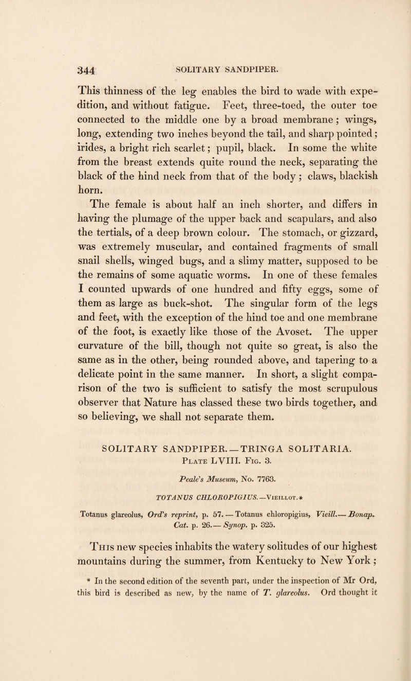 This thinness of the leg enables the bird to wade with expe¬ dition, and without fatigue. Feet, three-toed, the outer toe connected to the middle one by a broad membrane; wings, long, extending two inches beyond the tail, and sharp pointed; irides, a bright rich scarlet; pupil, black. In some the white from the breast extends quite round the neck, separating the black of the hind neck from that of the body ; claws, blackish horn. The female is about half an inch shorter, and differs in having the plumage of the upper back and scapulars, and also the tertials, of a deep brown colour. The stomach, or gizzard, was extremely muscular, and contained fragments of small snail shells, winged bugs, and a slimy matter, supposed to be the remains of some aquatic worms. In one of these females I counted upwards of one hundred and fifty eggs, some of them as large as buck-shot. The singular form of the legs and feet, with the exception of the hind toe and one membrane of the foot, is exactly like those of the Avoset. The upper curvature of the bill, though not quite so great, is also the same as in the other, being rounded above, and tapering to a delicate point in the same manner. In short, a slight compa¬ rison of the two is sufficient to satisfy the most scrupulous observer that Nature has classed these two birds together, and so believing, we shall not separate them. SOLITARY SANDPIPER. — TRINGA SOLITARIA. Plate LVIII. Fig. 3. Peale's Museum, No. 7763. TOTANUS CHLOROPIGIUS. —Vieillot.* Totanus glareolus, Orel's reprint, p. 57. — Totanus chloropigius, Vieill.— Bonap. Cat. p. 26— Synop. p. 325. This new species inhabits the watery solitudes of our highest mountains during the summer, from Kentucky to New York ; * In the second edition of the seventh part, under the inspection of Mr Ord, this bird is described as new, by the name of T. glareolus. Ord thought it