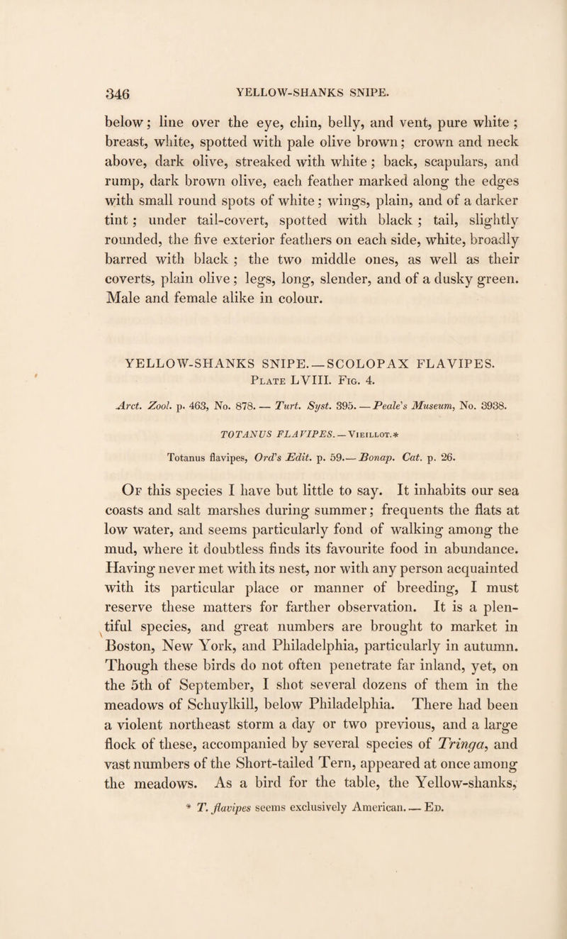 below; line over the eye, chin, belly, and vent, pure white ; breast, white, spotted with pale olive brown; crown and neck above, dark olive, streaked with white ; back, scapulars, and rump, dark brown olive, each feather marked along the edges with small round spots of white; wings, plain, and of a darker tint; under tail-covert, spotted with black ; tail, slightly rounded, the five exterior feathers on each side, white, broadly barred with black ; the two middle ones, as well as their coverts, plain olive; legs, long, slender, and of a dusky green. Male and female alike in colour. YELLOW-SHANKS SNIPE. —SCOLOPAX FLAVIPES. Plate LVIII. Fig. 4. Arct. Zool. p. 463, No. 878. — Turt. Sijst. 395_Peale s Museum, No. 3938. TOT ANUS FLAVIPES. — Vieillot.* Totanus flavipes, Orel's Edit. p. 59.— Bonap. Cat. p. 26. Of this species I have but little to say. It inhabits our sea coasts and salt marshes during summer; frequents the flats at low water, and seems particularly fond of walking among the mud, where it doubtless finds its favourite food in abundance. Having never met with its nest, nor with any person acquainted with its particular place or manner of breeding, I must reserve these matters for farther observation. It is a plen¬ tiful species, and great numbers are brought to market in Boston, New York, and Philadelphia, particularly in autumn. Though these birds do not often penetrate far inland, yet, on the 5th of September, I shot several dozens of them in the meadows of Schuylkill, below Philadelphia. There had been a violent northeast storm a day or two previous, and a large flock of these, accompanied by several species of Tringa, and vast numbers of the Short-tailed Tern, appeared at once among the meadows. As a bird for the table, the Yellow-shanks, * T. flavipes seems exclusively American. — Ed.
