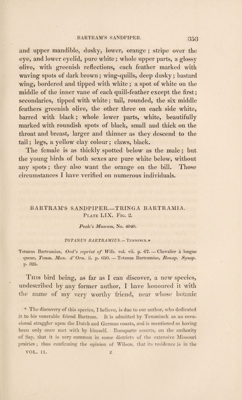 and upper mandible, dusky, lower, orange ; stripe over the eye, and lower eyelid, pure white; whole upper parts, a glossy olive, with greenish reflections, each feather marked with waving spots of dark brown; wing-quills, deep dusky; bastard wing, bordered and tipped with white ; a spot of white on the middle of the inner vane of each quill-feather except the first; secondaries, tipped with white; tail, rounded, the six middle feathers greenish olive, the other three on each side white, barred with black; whole lower parts, white, beautifully marked with roundish spots of black, small and thick on the throat and breast, larger and thinner as they descend to the tail; legs, a yellow clay colour; claws, black. The female is as thickly spotted below as the male; but the young birds of both sexes are pure white below, without any spots; they also want the orange on the bill. Those circumstances I have verified on numerous individuals. BARTRAM’S SANDPIPER_TRINGA BARTRAMIA. Plate LIX. Fig. 2. Peale's Museum, No. 4040. TOTANUS BARTRAMIUS.— Temminck.* Totanus Bartramius, Ord's reprint of Wils. vol. vii. p. 67. — Chevalier a longue queue, Temm. Man. d'Orn. ii. p. 650. — Totanus Bartramius, Bonap. Synop. p. 325. % This bird being, as far as I can discover, a new species, undescribed by any former author, I have honoured it with the name of my very worthy friend, near whose botanic * The discovery of this species, I believe, is due to our author, who dedicated it to his venerable friend Bartram. It is admitted by Temminck as an occa¬ sional straggler upon the Dutch and German coasts, and is mentioned as having been only once met with by himself. Bonaparte asserts, on the authority of Say, that it is very common in some districts of the extensive Missouri prairies ; thus confirming the opinion of Wilson, that its residence is in the VOL. II. Z