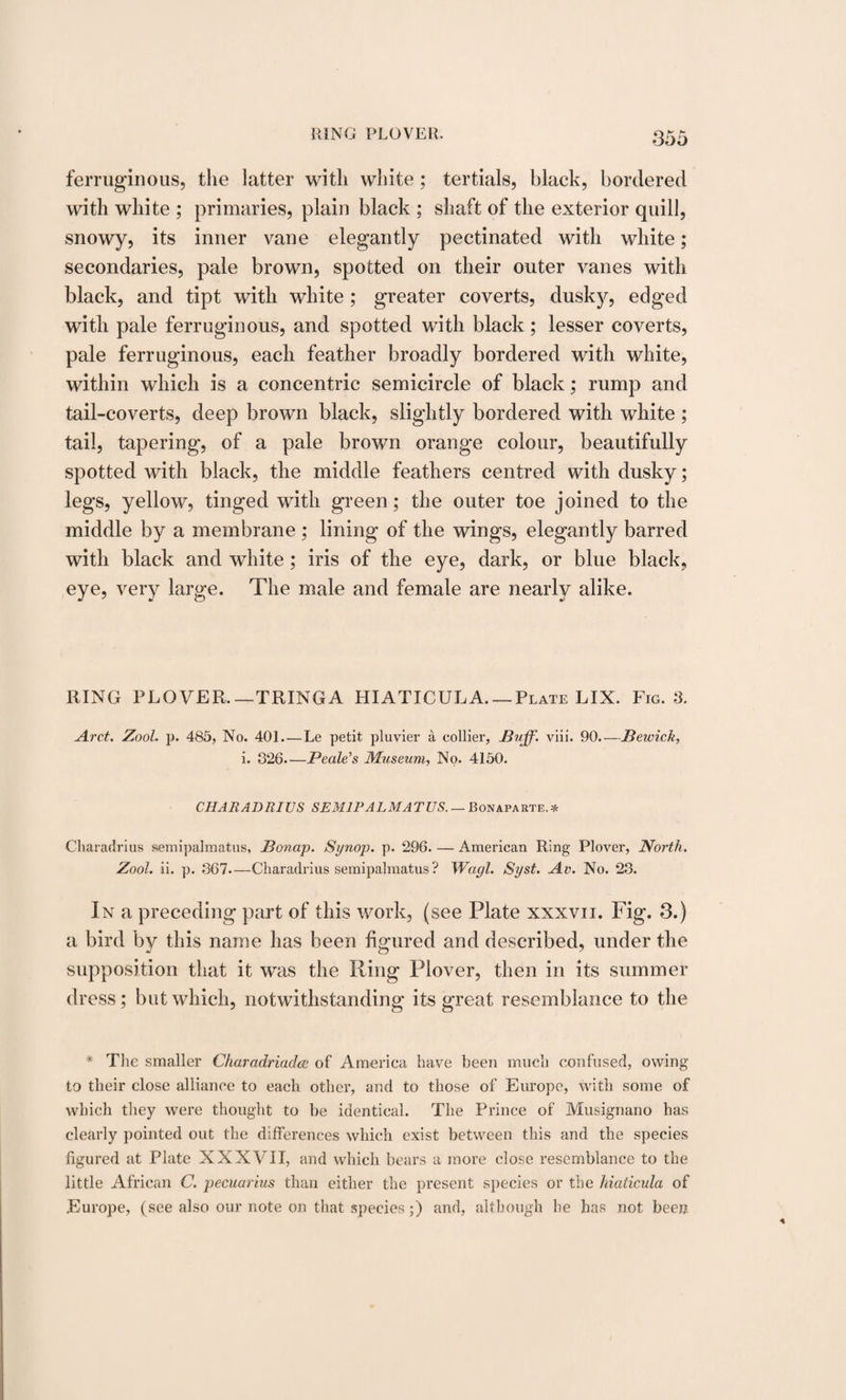 ferruginous, the latter with white ; tertials, black, bordered with white ; primaries, plain black ; shaft of the exterior quill, snowy, its inner vane elegantly pectinated with white; secondaries, pale brown, spotted on their outer vanes with black, and tipt with white ; greater coverts, dusky, edged with pale ferruginous, and spotted with black; lesser coverts, pale ferruginous, each feather broadly bordered with white, within which is a concentric semicircle of black; rump and tail-coverts, deep brown black, slightly bordered with white ; tail, tapering, of a pale brown orange colour, beautifully spotted with black, the middle feathers centred with dusky; legs, yellow, tinged with green; the outer toe joined to the middle by a membrane ; lining of the wings, elegantly barred with black and white; iris of the eye, dark, or blue black, eye, very large. The male and female are nearly alike. RING PLOVER.— TRINGA HIATICULA_Plate LIX. Fig. 3. Arct. Zool. p. 485, No. 401. — Le petit pluvier a collier, -Buff. viii. 90.-—Beivick, i. 326—Peale's Museum, No. 4150. CHA RADRIUS SEMI PAL MA TUS. — Bonaparte. * Charadrius semipalmatus, Sonap. Synop. p. 296. — American Ring Plover, North. Zool. ii. p. 367—Charadrius semipalmatus? Wagl. Syst. Av. No. 23. In a preceding part of this work, (see Plate xxxvn. Fig. 3.) a bird by this name has been figured and described, under the supposition that it was the Ring Plover, then in its summer dress; but which, notwithstanding its great resemblance to the * The smaller Charadriadce of America have been much confused, owing to their close alliance to each other, and to those of Europe, with some of which they were thought to be identical. The Prince of Musignano has clearly pointed out the differences which exist between this and the species figured at Plate XXXVII, and which bears a more close resemblance to the little African C. pecuarius than either the present species or the hiaticula of Europe, (see also our note on that species;) and, although be has not been