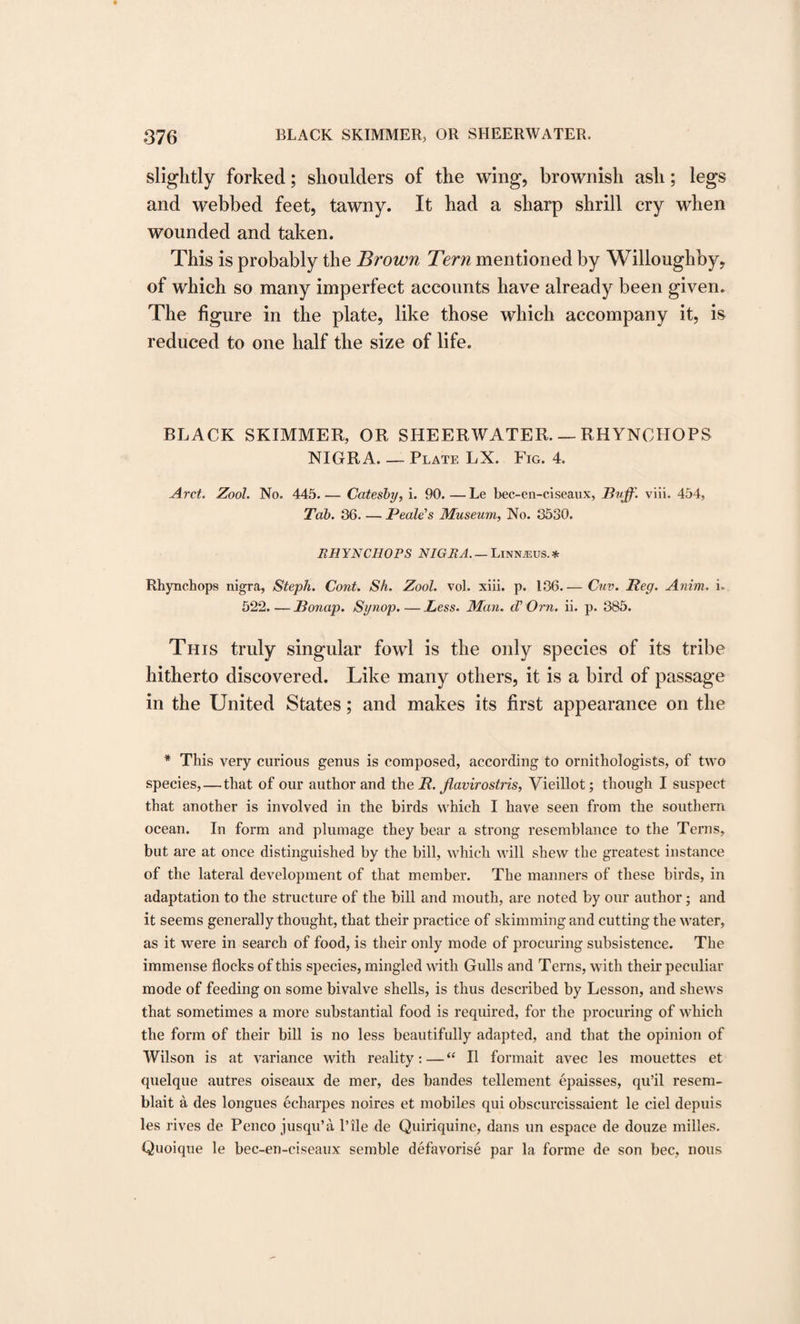 slightly forked; shoulders of the wing, brownish ash; legs and webbed feet, tawny. It had a sharp shrill cry when wounded and taken. This is probably the Brown Tern mentioned by Willoughby, of which so many imperfect accounts have already been given. The figure in the plate, like those which accompany it, is reduced to one half the size of life. BLACK SKIMMER, OR SHEERWATER. — RHYNCHOPS NIGRA. — Plate LX. Fig. 4. Arct. Zool. No. 445.— Catesby, i. 90.—Le bec-en-ciseaux, Puff. viii. 454, Tab. 36_Peak's Museum, No. 3530. RHYNCHOPS NIGRA_Linnjeus.* Rhynchops nigra, Steph. Cont. Sh. Zool. vol. xiii. p. 136-Cuv. Peg. Anim. i. 522.—Ponap. Synop.—Less. Man. d'Orn. ii. p. 385. This truly singular fowl is the only species of its tribe hitherto discovered. Like many others, it is a bird of passage in the United States; and makes its first appearance on the * This very curious genus is composed, according to ornithologists, of two species,—that of our author and the R. fiavirostris, Vieillot; though I suspect that another is involved in the birds which I have seen from the southern ocean. In form and plumage they bear a strong resemblance to the Terns, but are at once distinguished by the bill, which will shew the greatest instance of the lateral development of that member. The manners of these birds, in adaptation to the structure of the bill and mouth, are noted by our author; and it seems generally thought, that their practice of skimming and cutting the water, as it were in search of food, is their only mode of procuring subsistence. The immense flocks of this species, mingled with Gulls and Terns, with their peculiar mode of feeding on some bivalve shells, is thus described by Lesson, and shews that sometimes a more substantial food is required, for the procuring of which the form of their bill is no less beautifully adapted, and that the opinion of Wilson is at variance with reality:—“ II formait avec les mouettes et quelque autres oiseaux de mer, des bandes tellement epaisses, qu’il resem- blait a des longues echarpes noires et mobiles qui obscurcissaient le ciel depuis les rives de Penco jusqu’a l’ile de Quiriquine, dans un espace de douze milles. Quoique le bec-en-ciseaux semble defavorise par la forme de son bee, nous