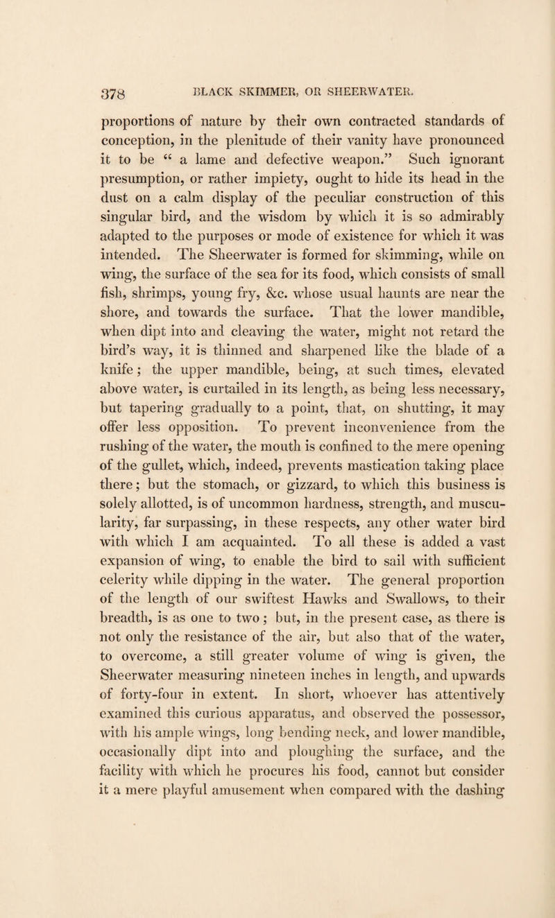 proportions of nature by their own contracted standards of conception, in the plenitude of their vanity have pronounced it to be 6C a lame and defective weapon.” Such ignorant presumption, or rather impiety, ought to hide its head in the dust on a calm display of the peculiar construction of this singular bird, and the wisdom by which it is so admirably adapted to the purposes or mode of existence for which it was intended. The Sheerwater is formed for skimming, while on wing, the surface of the sea for its food, which consists of small fish, shrimps, young fry, &amp;c. whose usual haunts are near the shore, and towards the surface. That the lower mandible, when dipt into and cleaving the water, might not retard the bird’s way, it is thinned and sharpened like the blade of a knife; the upper mandible, being, at such times, elevated above water, is curtailed in its length, as being less necessary, but tapering gradually to a point, that, on shutting, it may offer less opposition. To prevent inconvenience from the rushing of the water, the mouth is confined to the mere opening of the gullet, which, indeed, prevents mastication taking place there; but the stomach, or gizzard, to which this business is solely allotted, is of uncommon hardness, strength, and muscu¬ larity, far surpassing, in these respects, any other water bird with which I am acquainted. To all these is added a vast expansion of wing, to enable the bird to sail with sufficient celerity while dipping in the water. The general proportion of the length of our swiftest Hawks and Swallows, to their breadth, is as one to two; but, in the present case, as there is not only the resistance of the air, but also that of the water, to overcome, a still greater volume of wing is given, the Sheerwater measuring nineteen inches in length, and upwards of forty-four in extent. In short, whoever has attentively examined this curious apparatus, and observed the possessor, with his ample wings, long bending neck, and lower mandible, occasionally dipt into and ploughing the surface, and the facility with which he procures his food, cannot but consider it a mere playful amusement when compared with the dashing