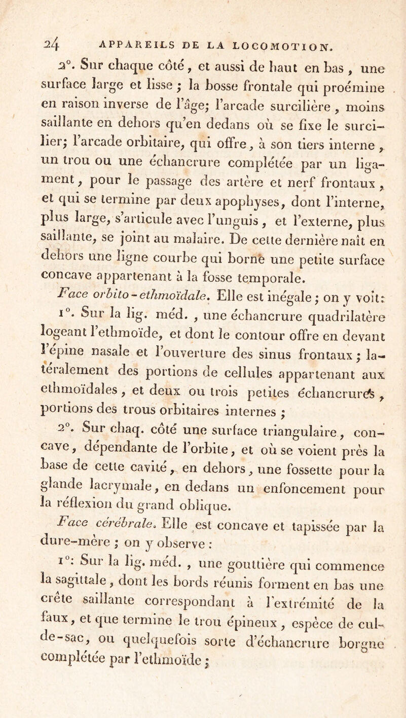 :2°. Sur chaque cote , et aussi de haut en bas , une surface large et lisse ; la bosse frontale qui proémiue en raison inverse de l’âge; l’arcade surcilière ^ moins saillante en dehors qu’en dedans où se fixe le surci— lier; 1 arcade orbitaire^ qui offre, à son tiers interne , un trou ou une échancrure complétée par un liga- ment ^ pour le passage des artère et nerf frontaux ^ et qui se termine par deux apophyses, dont l’interne, plus large, s’articule avec l’unguis , et l’externe, plus saillante, se joint au malaire. De cette dernière naît en dehors une ligne courbe qui borne une petite surface concave appartenant à la fosse temporale. Face orhito-etîimoïdale. Elle est inégale ; on y voit: F. Sur la lig. med. , une échancrure quadrilatère logeant 1 ethmoïde, et dont le contour offre en devant 1 epine nasale et 1 ouverture des sinus frontaux ; la— teialement des portions de cellules appartenant aux ethmoïdaîes, et deux ou trois petites échancrure^ , portions des trous orbitaires internes ; 2*^. Sur chaq. coté une surface triangulaire, con- cave , dépendante de l’orbiie, et où se voient près la base de cette cavité y en dehors, une fossette pour la glande lacrymale, en dedans un enfoncement pour la réflexion du grand oblique. Face cérébrale » Elle est concave et tapissée par la dure-mère ; on y observe : I : Sur la lig. méd. , une gouttière qui commence la sagittale , dont les bords réunis forment en bas une crête saillante correspondant à rextrémité de la faux, et que termine le trou épineux , espèce de cul- de sac, ou quelquefois sorte d’échancrure borgne complétée par l’ethoioïde ;