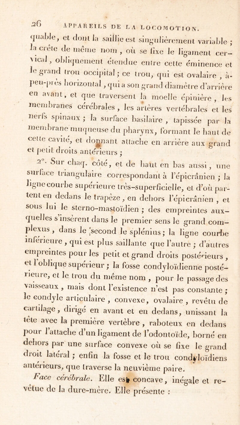 c •26 A P P A Pi EI L S DE LA L O C: O M 01’î O N. «fualjle, et doïii la saillie est sin^-ulièrement variaLIe ; ia créle de iiicnie noiD , où se Üxe Je ligament cei- Mcal, obliijuemeiit ebeiidue emre cette éminence et ie grand tron occipital; ce trou, qui est ovalaire , à- peu-pfes horizontal, quia son grand diamètre d’arrière en avant, et que traversent la moelle épinière, les membranes cérébrales, les artères vertébrales elles iiei fs sjnnaux ; la surface basdaire , tapissée par la membrane niurpieuse du pharynx, formant le haut de celte cavité, et dojgnant attache en arrière aux grand et peut droits antérieurs ; 2 ’ Sur chaq, coté, et de haut en bas aussi, une surlace triangulaire correspondant à Fépicrânien ; la ligne courbe supérieure très~superficielle, et d’où par- tent en dedans le trapeze, en dehors l’épicrânien , et sous lui le sterno-masioïdien ; des empieintes aux- quelles s insèrent dans le premier sens le grand com- ple.yis , dans le‘second lesplénius; la ligne courlje inférieure , qui est plus saillante que l’autre ; d’autres empreintes pour les petit et grand droits posténeurs , et 1 oblique supérieur ; la fosse condyloïdienne posté- rieure, et le trou du même nom , pour le passage des A aisseaux , mais dont 1 existence n’est pas constante; le Gondyle articulaire , convexe, ovalaire , revêtu de cartilage, dirigé en avant et eu dedans, unissant la tête avec la première vertèbre , raboteux en dedans pour l’attache d’un ligament de Todontoïde, borné en dehors par une surface convexe où se fixe le grand droit latéral ; enfin la fosse et le trou condyloïdiens anterieurs, que traverse la neuvième paire. Face cérébrale. Elle es^ concave, inégale et re- vetue de la dure-mère. Elle présente :