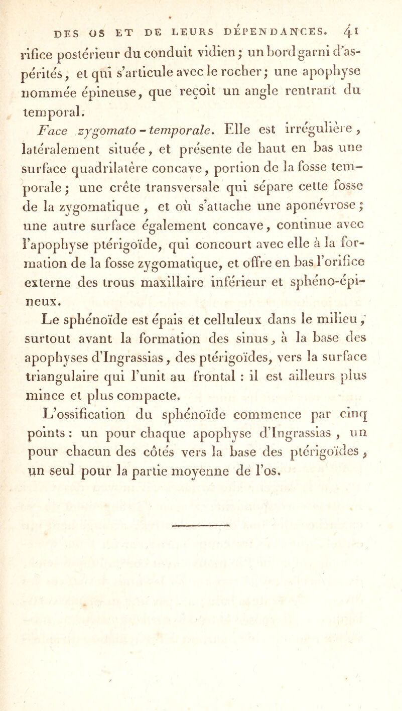 rifice postérieur du conduit vidien; un bord garni d as- pérités, et qui s’articule avec le rocher ; une apophyse nommée épineuse, que reçoit un angle rentrant du temporal. Face zygomato - temporale. Elle est irreguliere , latéralement située, et présente de haut en bas une surface quadrilatère concave, portion de la fosse tem- porale ; une crête transversale qui sépare cette fosse de la zygomatique , et où s’attache une aponévrose ; une autre surface également concave, continue avec l’apophyse ptérigoïde, qui concourt avec elle à la for- mation de la fosse zygomatique, et offre en bas l’orifice externe des trous maxillaire inférieur et sphéno-épi- neux. Le sphénoïde est épais et celluleux dans le milieu surtout avant la formation des sinus ^ à la hase des apophyses d’Ingrassias, des ptérigoïdes, vers la surface triangulaire qui l’unit au frontal : il est ailleurs plus mince et plus compacte. L’ossification du sphénoïde commence par cinq points : un pour chaque apophyse d’Ingrassias , un pour chacun des côtés vers la hase des ptérigoïdes , tin seul pour la partie moyenne de l’os.