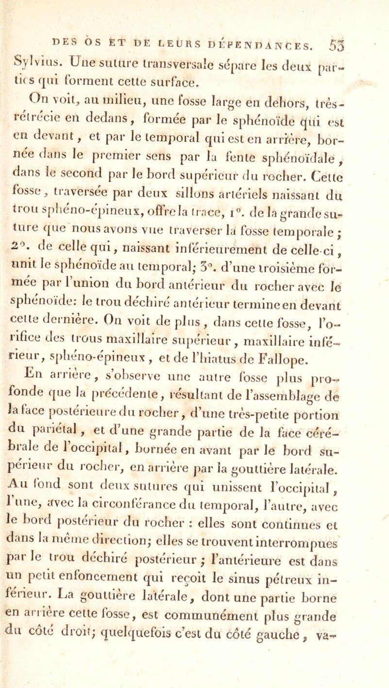 Sylvuis. Une salure transversale sépare les deux pa tics qui forment cette surface. On voit^ au milieu, une fosse large en dehors, très- rélrécle en dedans, formée par le sphénoïde qui est en devant, et par le temporal qui est en arrière, bor- née dans le premier sens par la fente sphénoïdale , dans le second par le bord supérieur du rocher. Celle fosse J traversée par deux sillons artériels naissant du tiou spheno-epmeux, offre la tr ace, de la grande su-» tare que nous avons vue traverser la fosse temporale ; 2^. de celle c|ui, naissant Inférieurement de celle ci, unit le sphénoïde au temporal,* 5^. d’une troisième for- mée par 1 union du bord anterieur du rocher avec le sphénoïde: le trou déchiré antérieur termine en devant cette dernière. On voit déplus, dans celte fosse, l’o- iifîce des trous maxillaire supeiueur, maxillaire infé-^ rieur, s[)henO'épineux , et de riiiatus de Fallope. En arriéré, s observe une autre fosse plus pro-^ fonde que la précédente, résultant de l’assemblage de la face postérieure du rocher, d’une très-petite portion du pariétal, et d’une grande partie de la face céré- brale de 1 occipital, bornée en avant par le bord su- périeur du rocher, en arrière par la gouttière latérale. Au fond sont deux sutures cjui unissent l’occipiial, î une, avec la circonlcrance du temporal, l’autre, avec le bord postérieur du rocher : elles sont continues et dans la meme direction; elles se trouvent interrompues par le trou déchire postérieur ; l’antérieure est dans un petit enfoncement qui reçoit le sinus pétreux in- férieur. La gouttière latérale, dont une partie borne en arriéré cette fosse, est communément plus grande du cote droit; quelquefois c’est du coté gauche, va^*